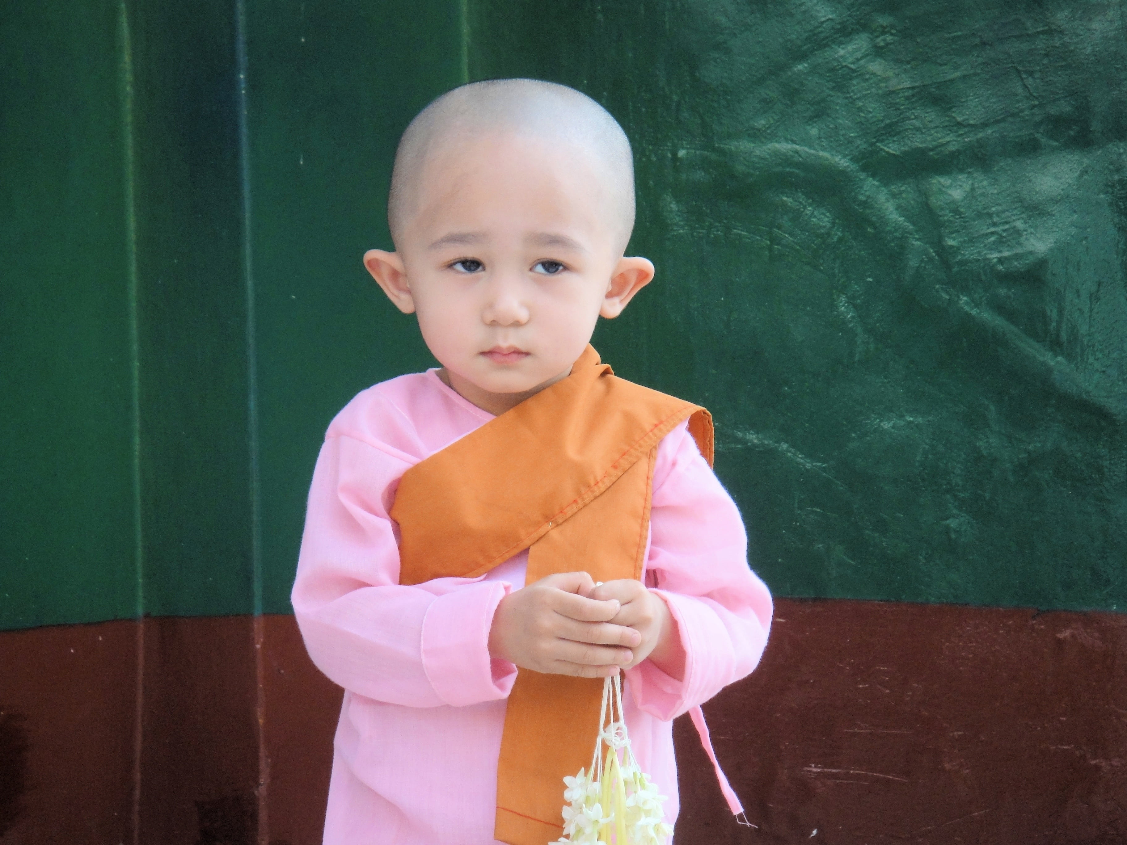 pink, religion, small, innocence, monk, baby, people, three quarter length, burma, standing, peaceful, myanmar, nun, 2K, faith, faithful, boys, front view, HD Wallpaper