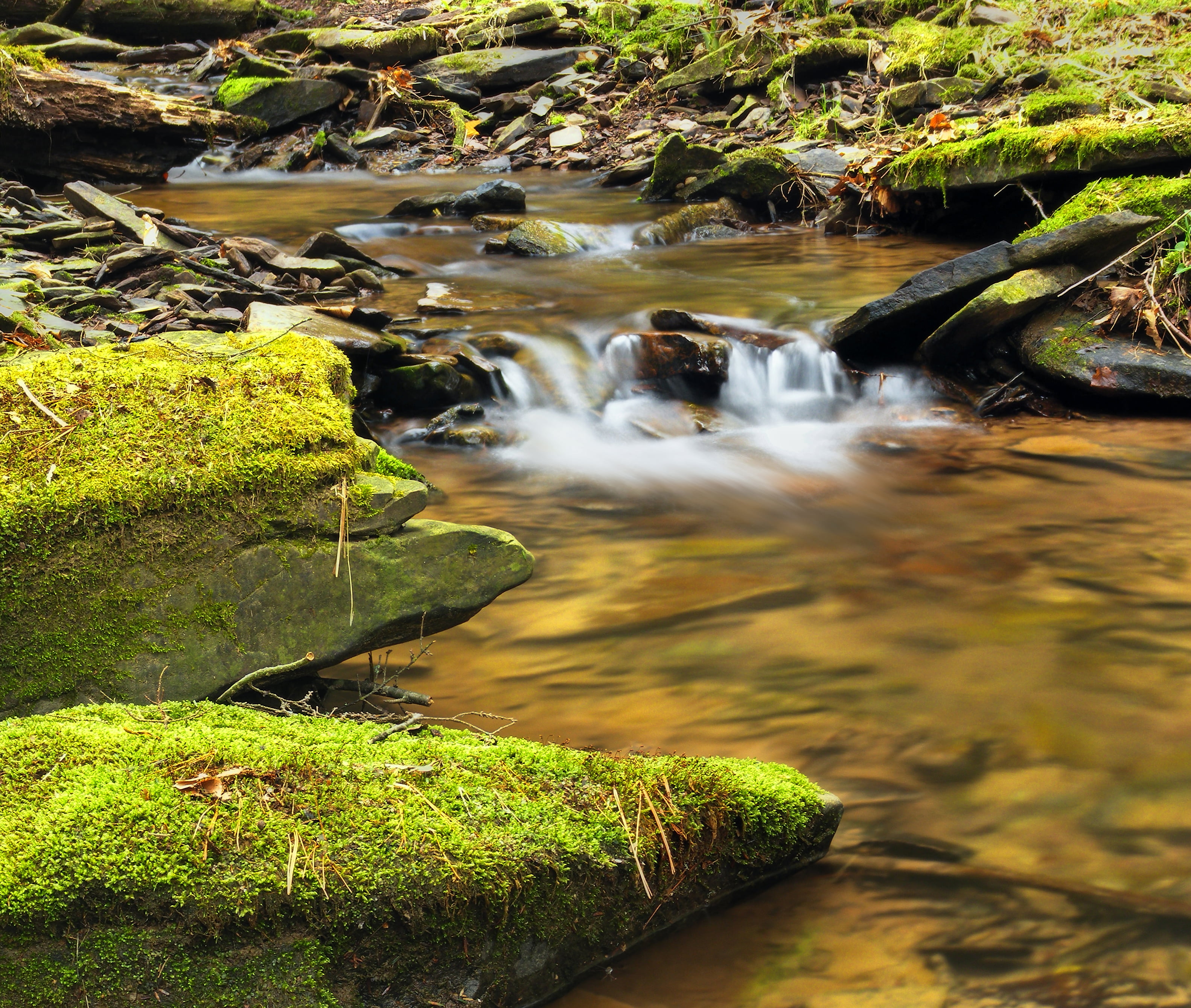 flowing, outdoors, in between, moss, Jakey Hollow Natural Area, Weiser State Forest, landscape, lapse, forest, spring, photography, time-lapse photography, HD Wallpaper