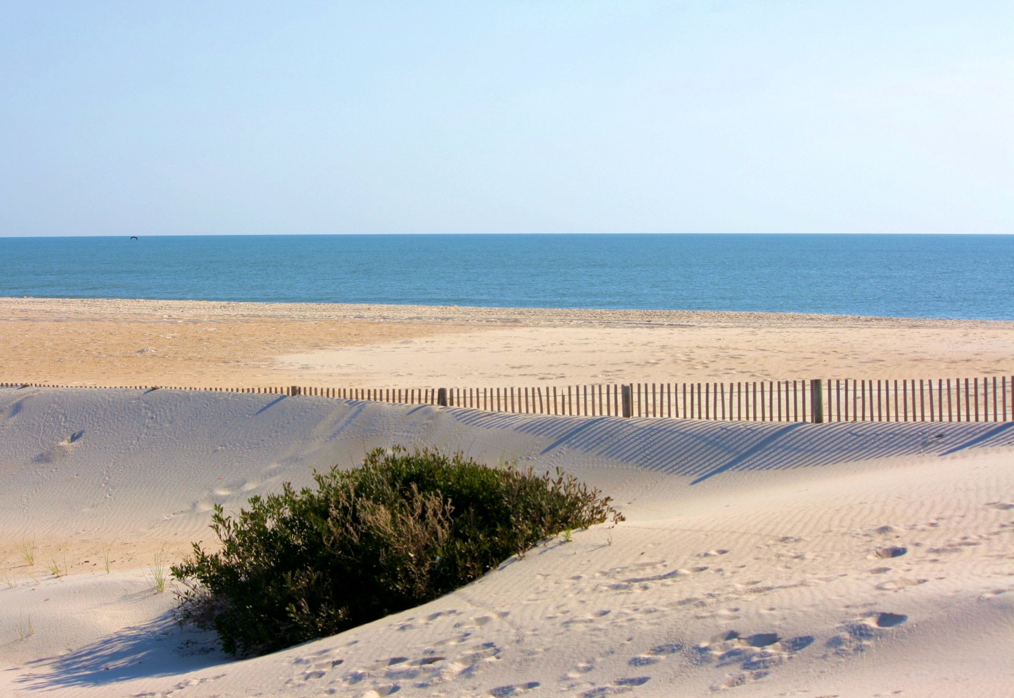 beauty in nature, plant, 2K, travel destinations, travel, no people, sea, tranquility, sand dune, horizon over water, atlantic ocean, scenics - nature, HD Wallpaper