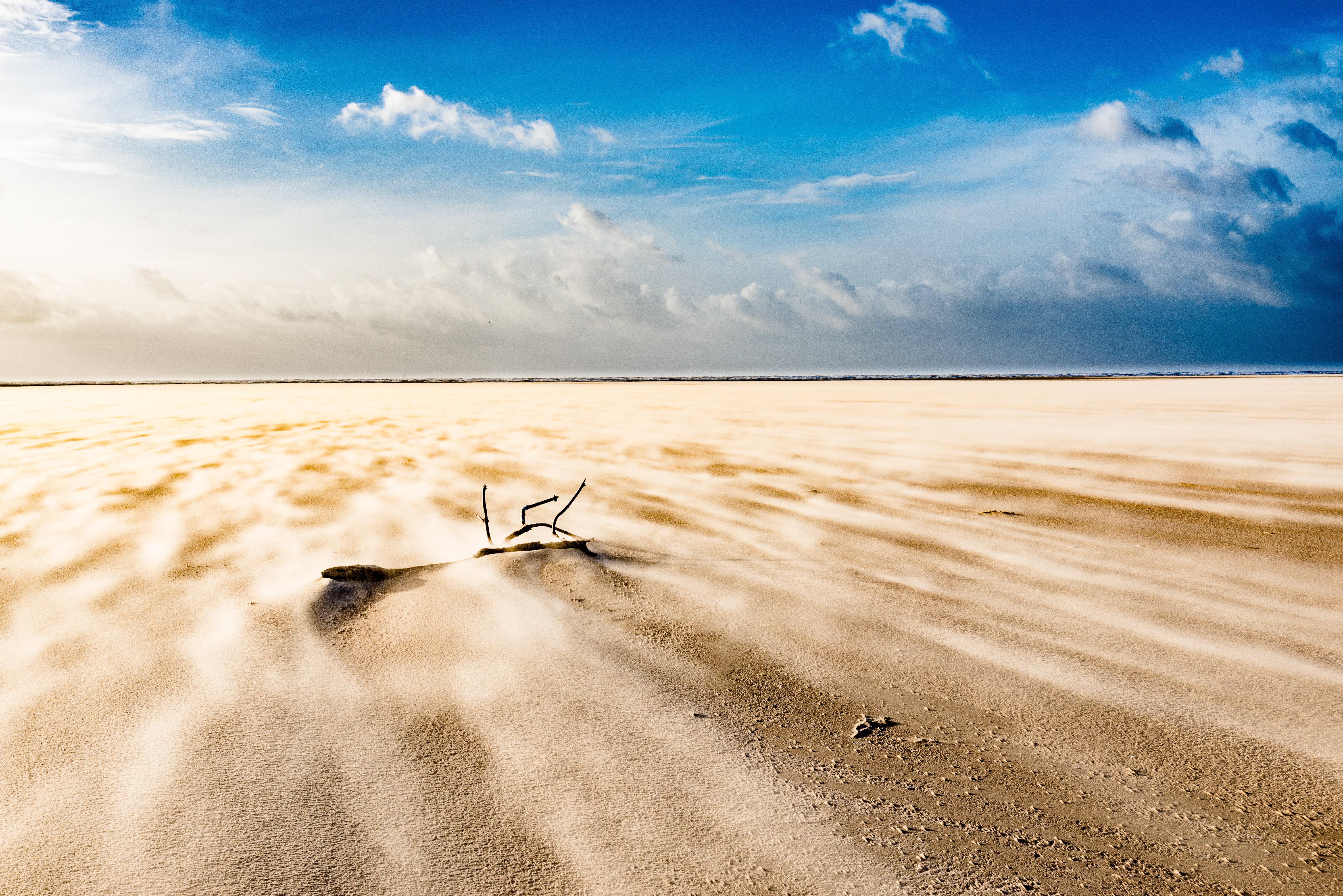 st, desert, 5K, sky, sea, sand, summer, nature, beach, landscape, lancashire, Windswept, blue, blue sky, outdoors, HD Wallpaper