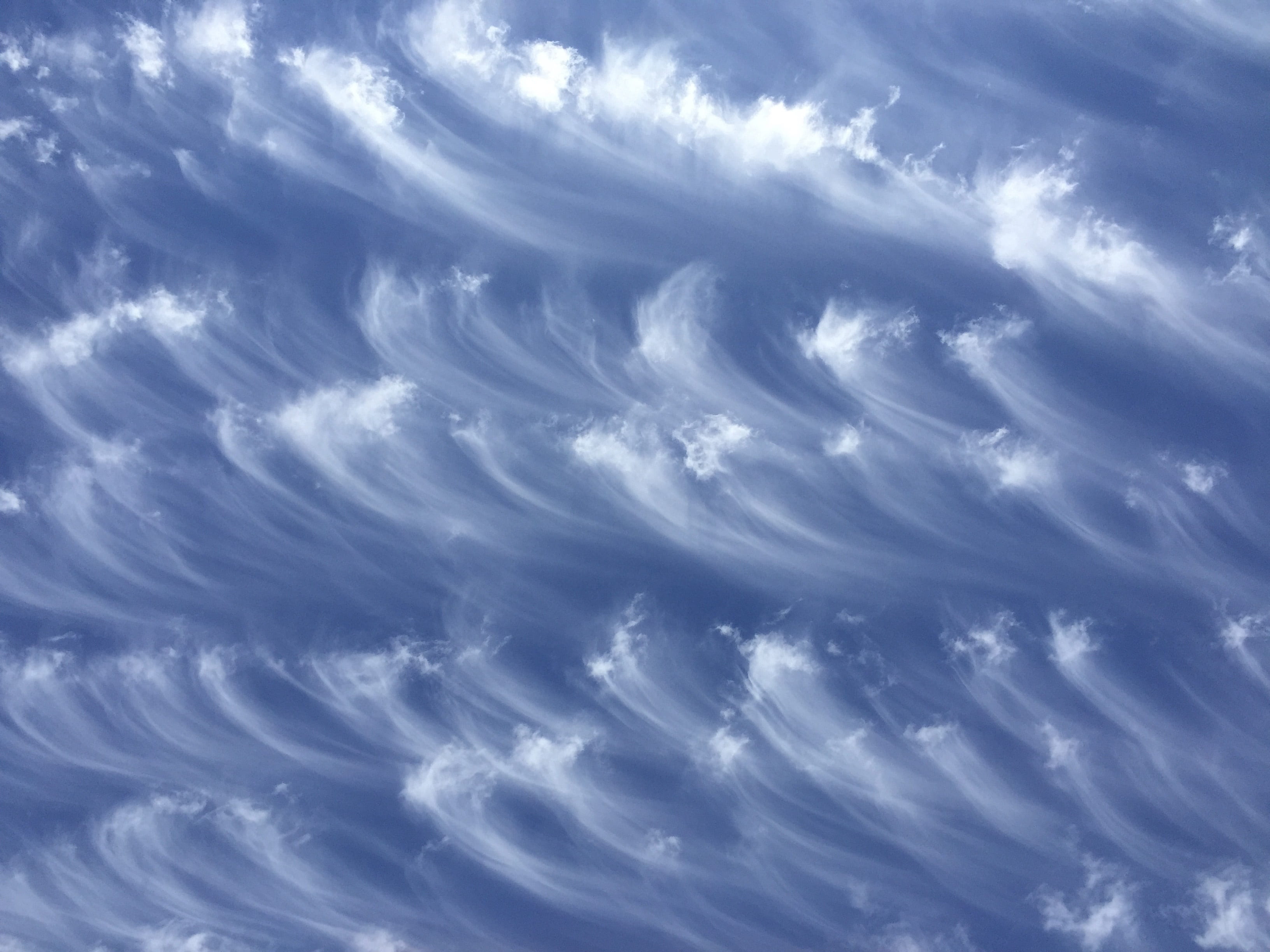 cloudscape, nature, blue, plumes, brushed, atmosphere, sky, cloud - sky, dramatic sky, scene, wind, sweeping, no people, effort, clouds, environment, 2K, HD Wallpaper