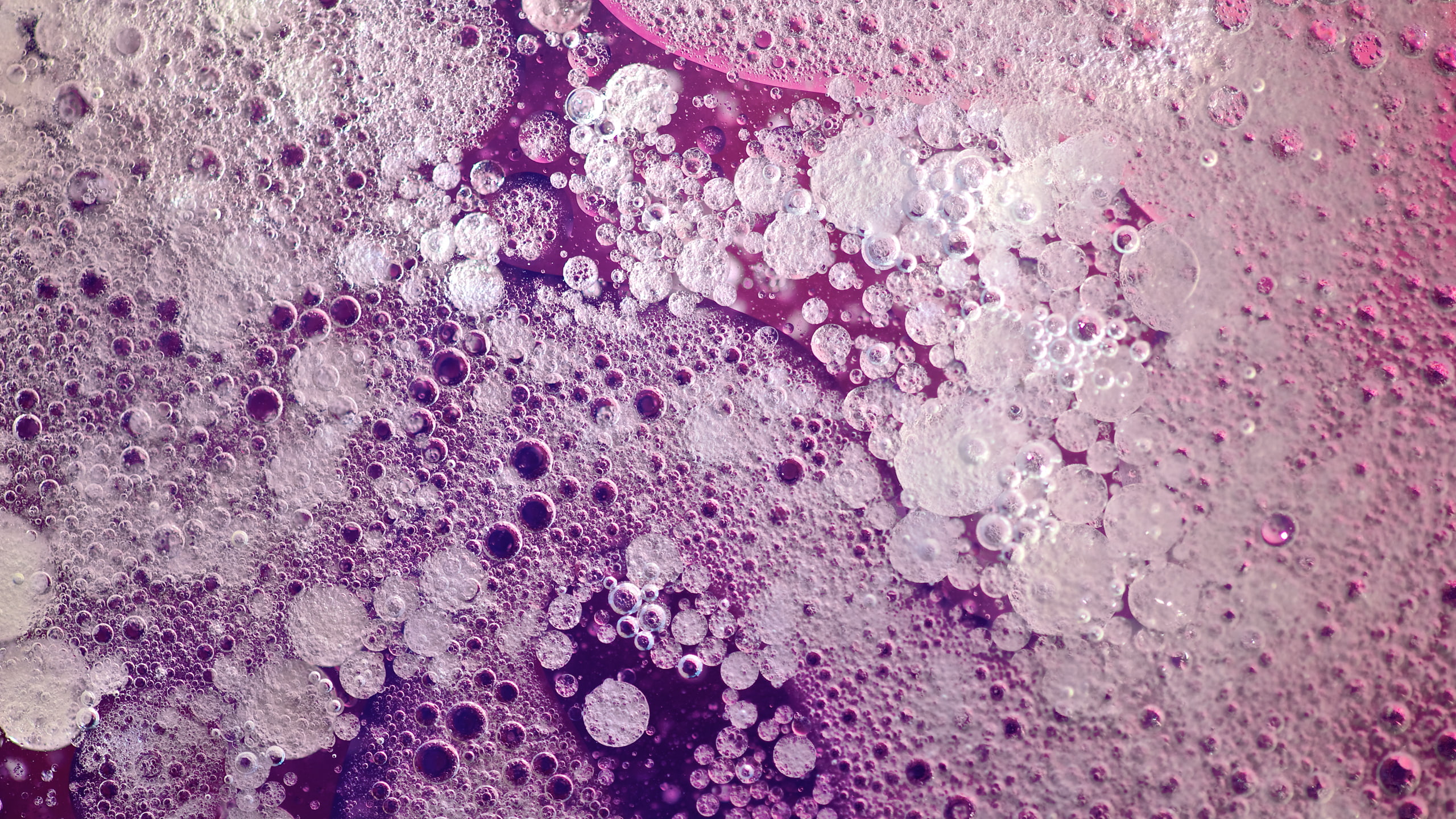 abstract, purple, hd, 2K, bubbles, microscopic, photography, digital/artwork, HD Wallpaper