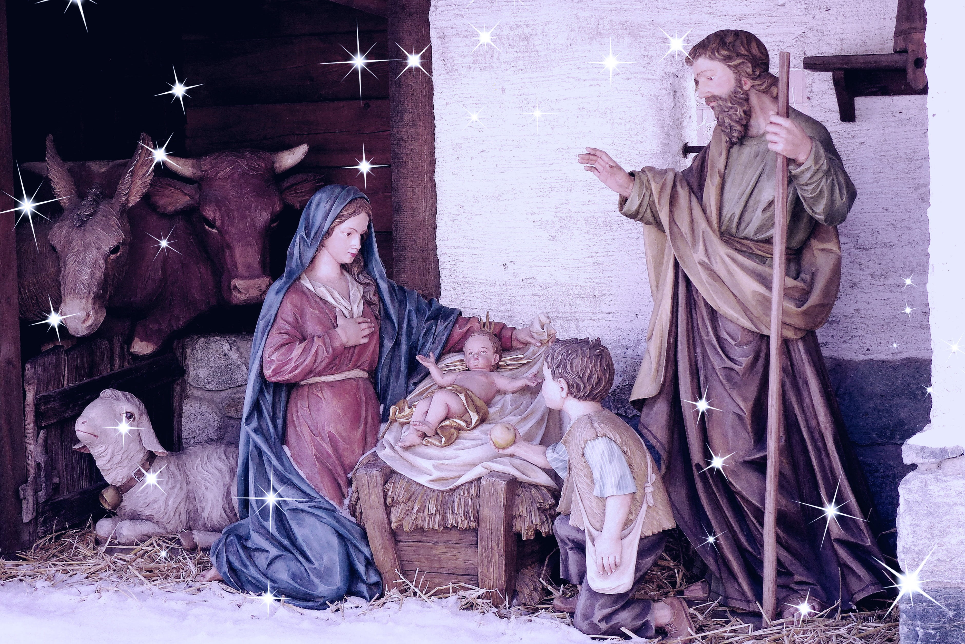 christmas, history, artwork, craft, animal wildlife, domestic, sculpture, human representation, painting, male likeness, nativity, day, art and craft, livestock, HD Wallpaper