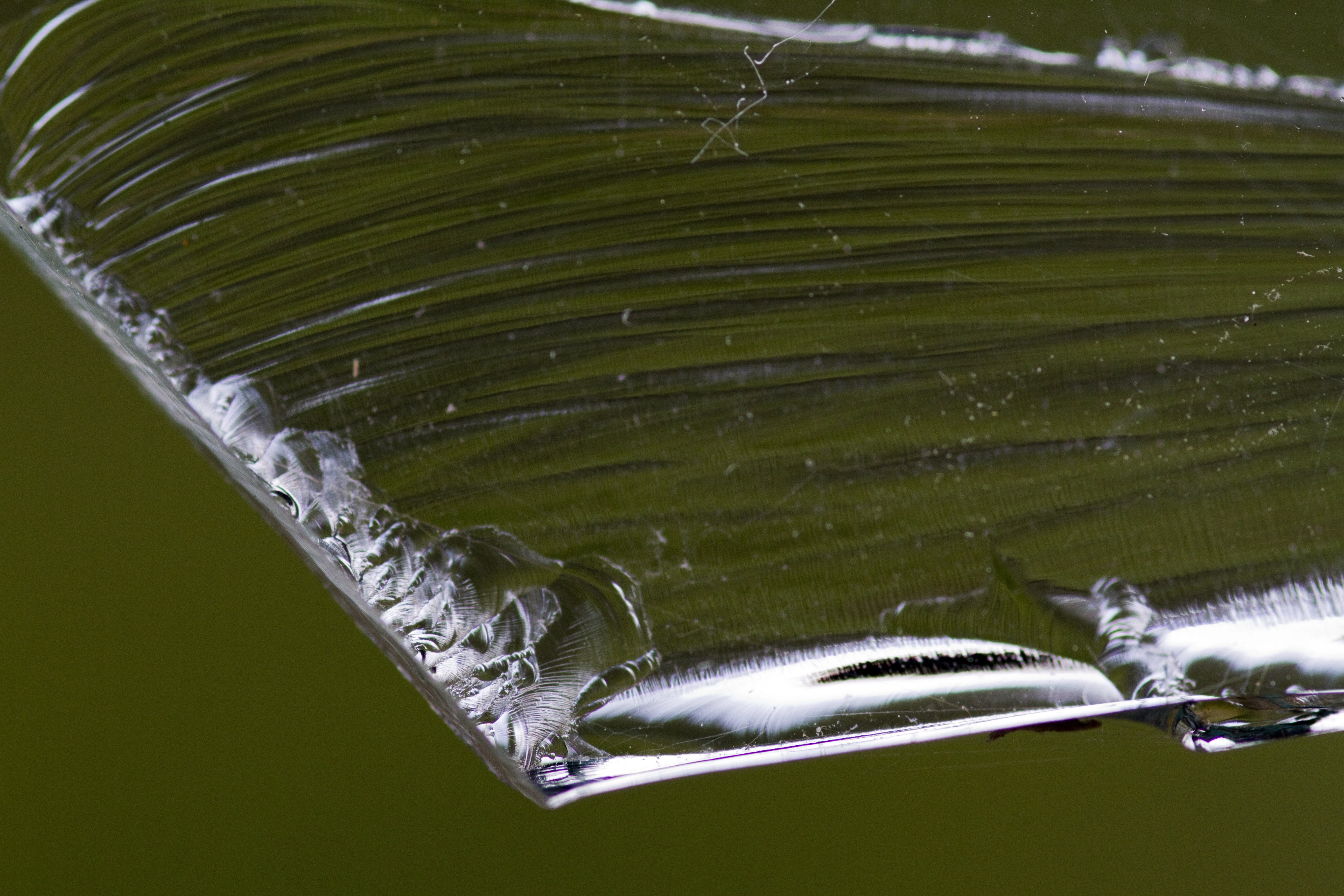 animal body part, pattern, nature, 5K, no people, swimming, sea, structure, animal wildlife, motion, marine, edge, close-up, glass, underwater, water, HD Wallpaper