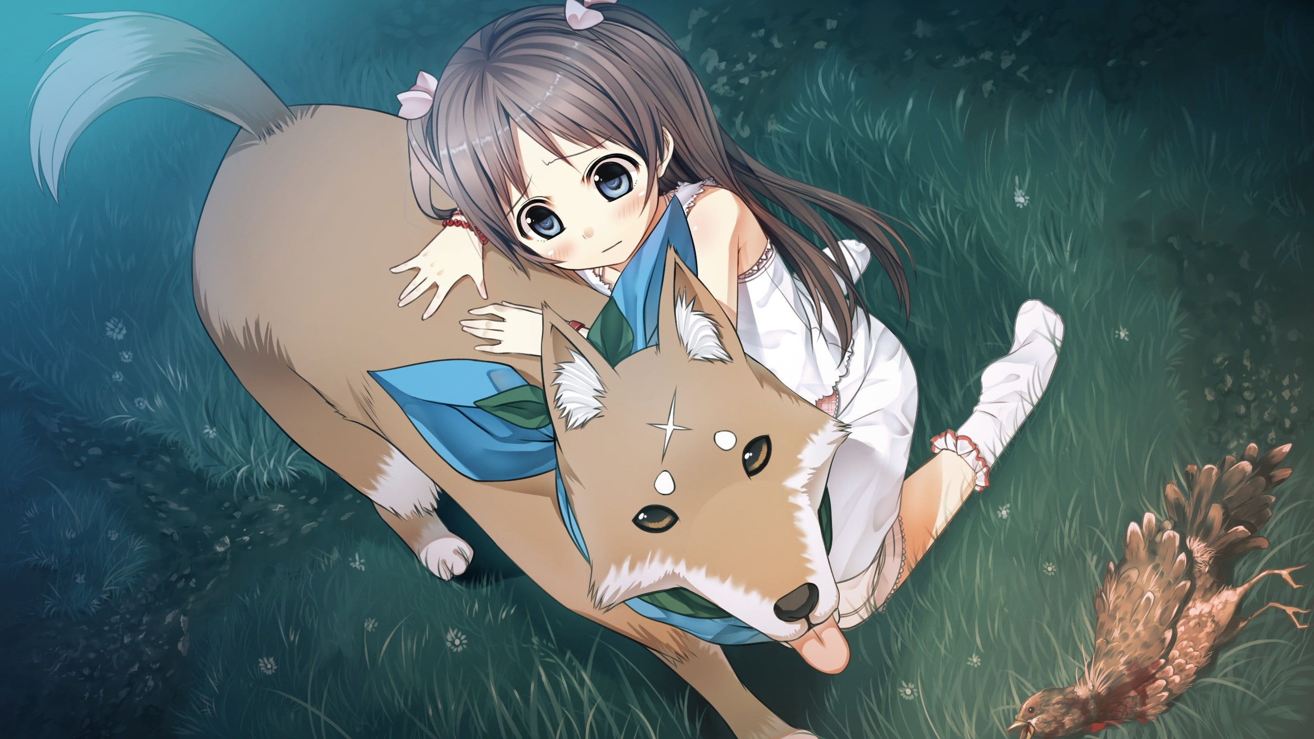 hd, art, animals, 2K, eyes, novel, long, hair, grass, socks, cu, twintails, cg, brunettes, scar, Blue Eyes, game, blue, dogs, ornaments, visual, HD Wallpaper