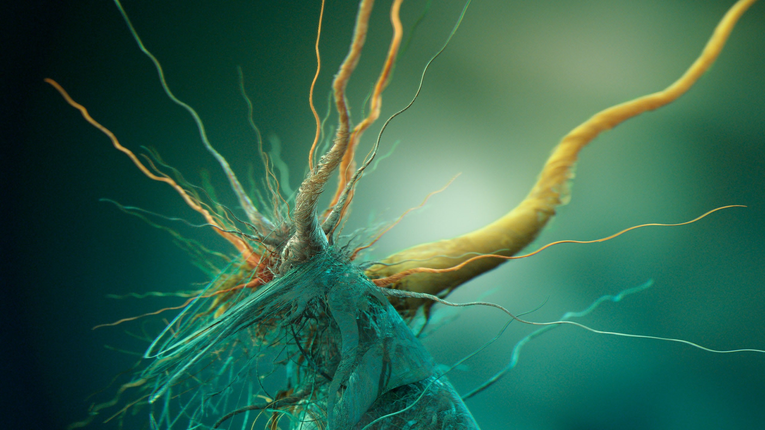 4k, beige, green, bacteria, 2K, photo, abstract, root, roots, gray, 5k, HD Wallpaper