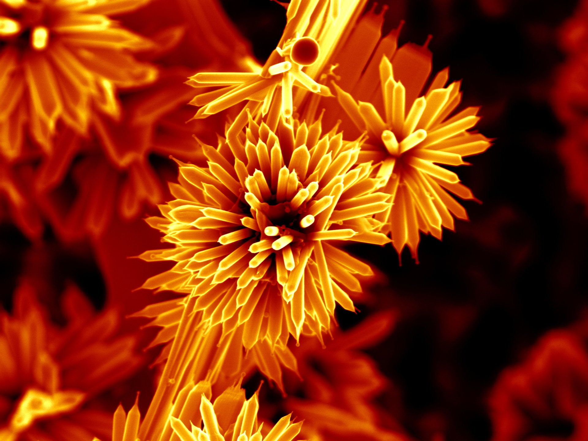 Photography, Technology, Artistic, 1080P, Bacteria, Nano, Nanowires, HD Wallpaper
