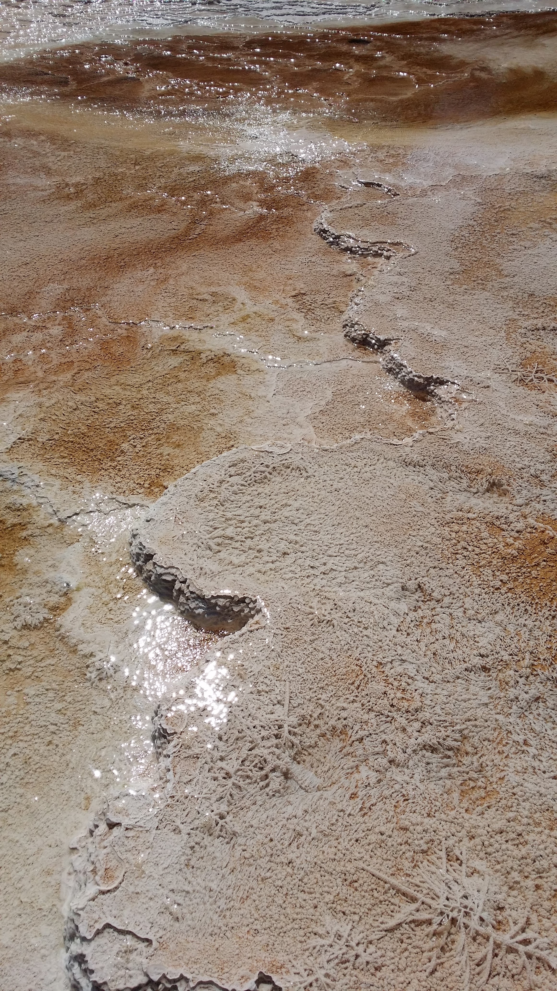 sea, springs, bacteria, pollution, nature, wet, 4K, day, non-urban scene, sport, beach, national, mud, land, park, beauty in nature, hot, high angle view, Phone HD Wallpaper