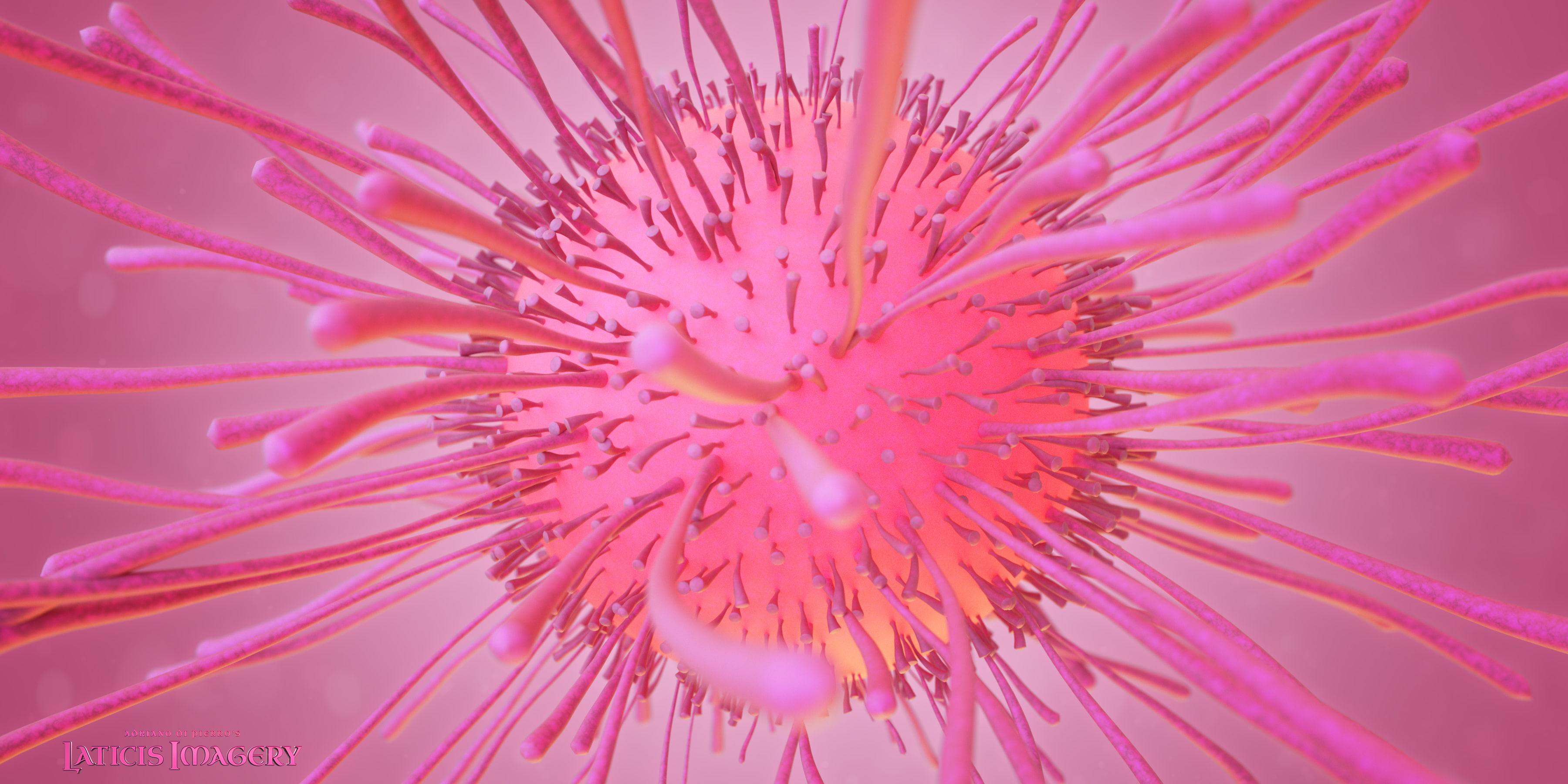 Artistic, Bacteria, 2K, HD Wallpaper