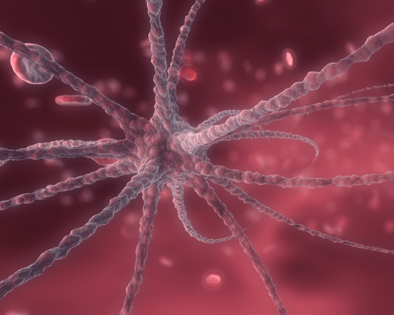 Artistic, Bacteria, 720P, HD Wallpaper