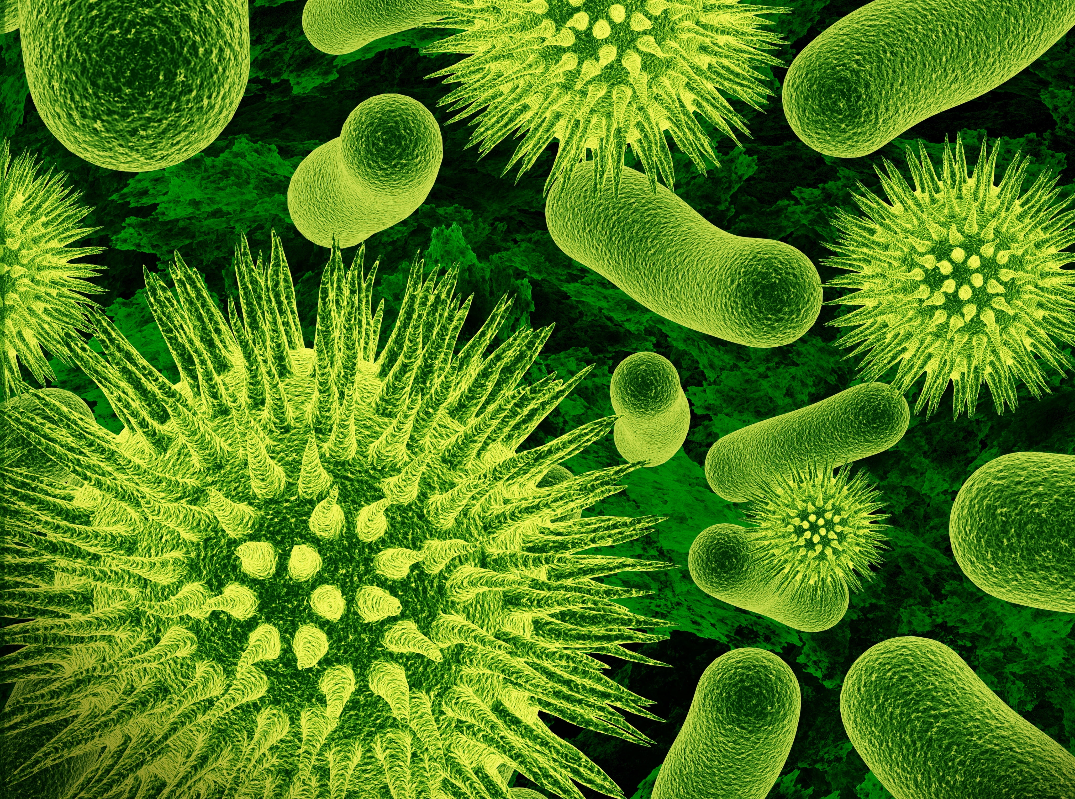 underwater, sea, 4K, no people, biology, close-up, water, science, Artistic, green, beauty in nature, lot, 3D, nature, magnification, Bacterias, green color, HD Wallpaper