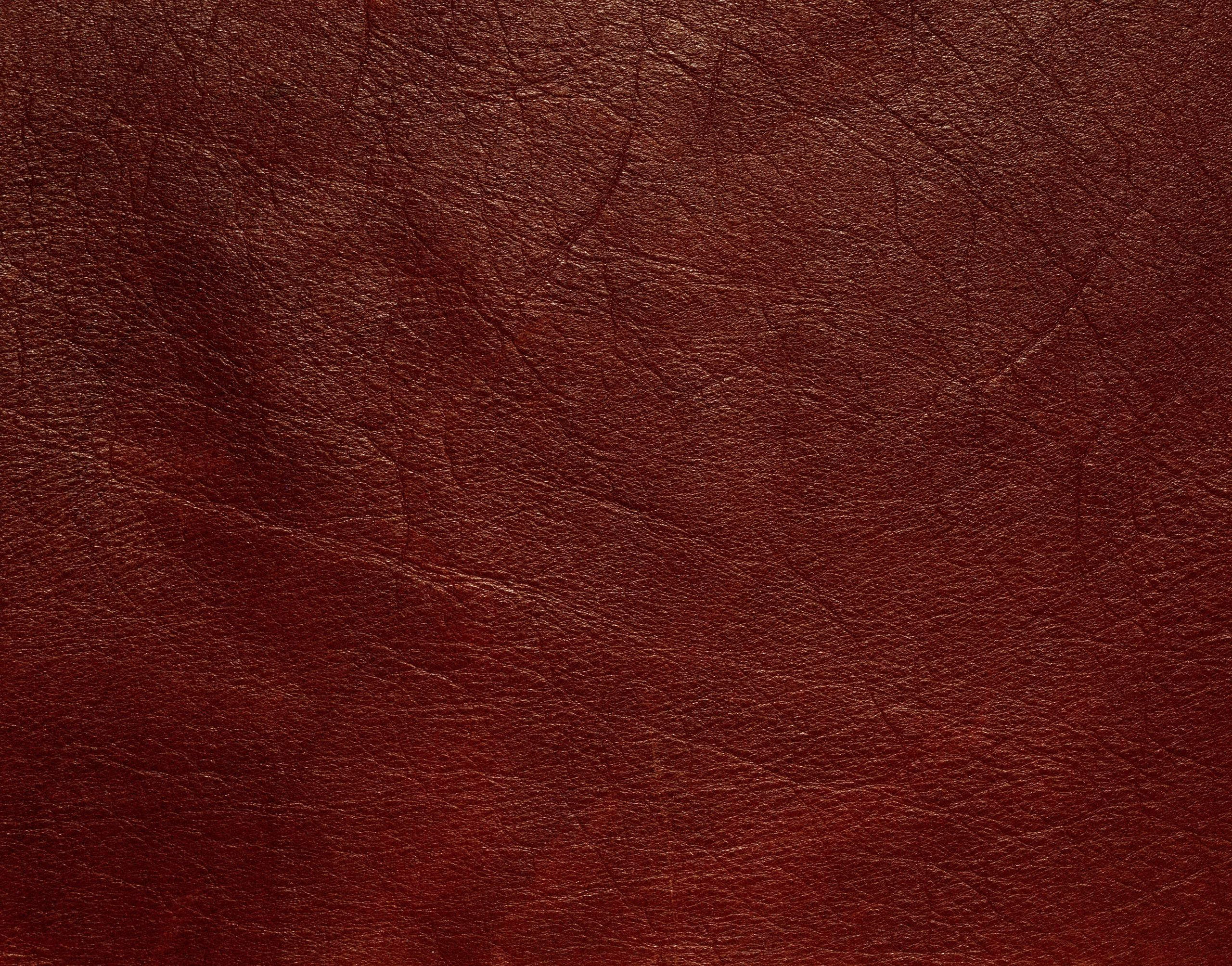 crumpled, fashion, old, surface level, texture, abstract, extreme close-up, blank, macro, leather, skin, veins, textured effect, backgrounds, copy space, HD Wallpaper