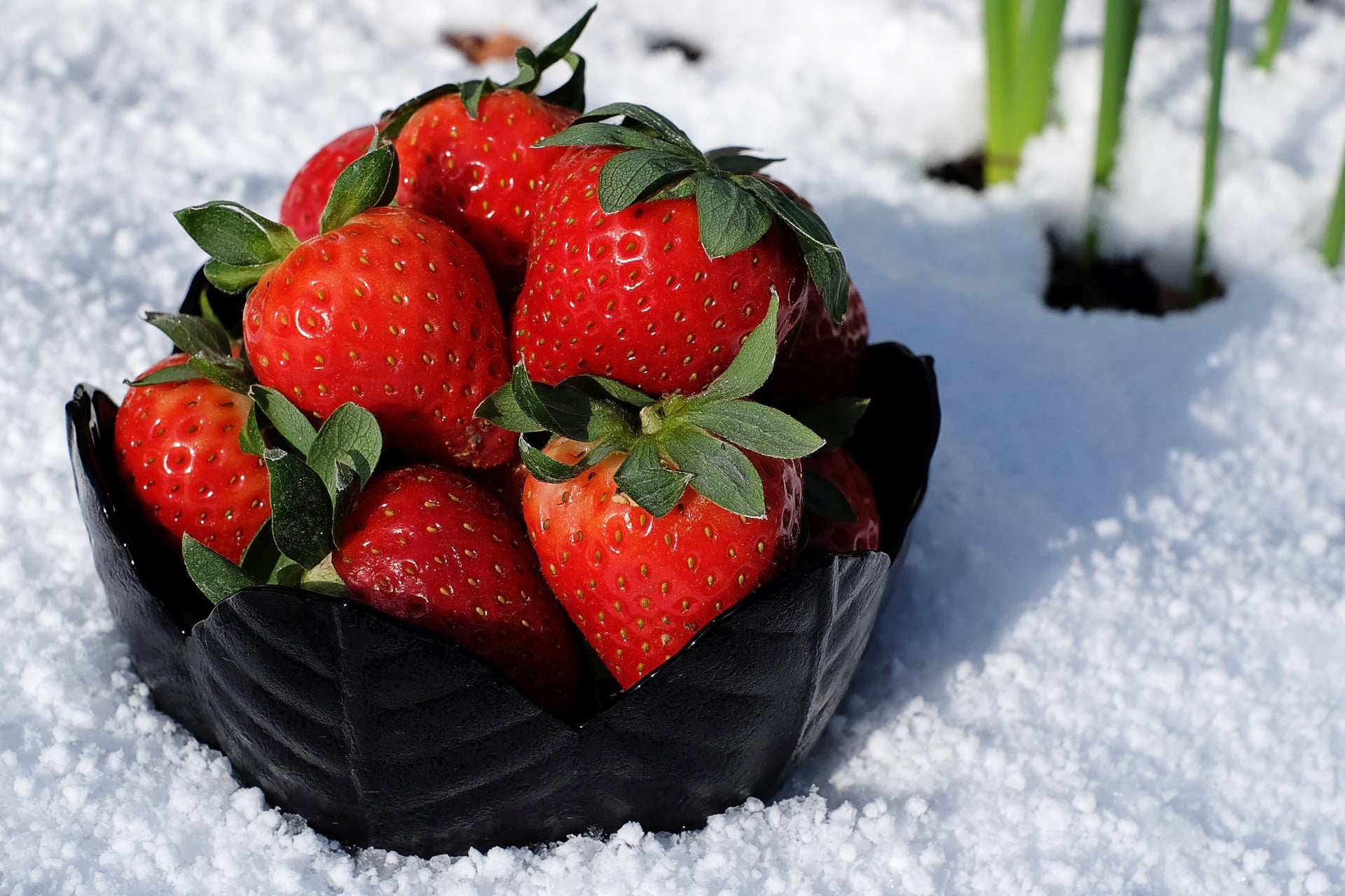 1080P, food, winter, strawberry, red, high angle view, wellbeing, freshness, food and drink, nature, strawberries, healthy eating, snow, basket, no people, HD Wallpaper