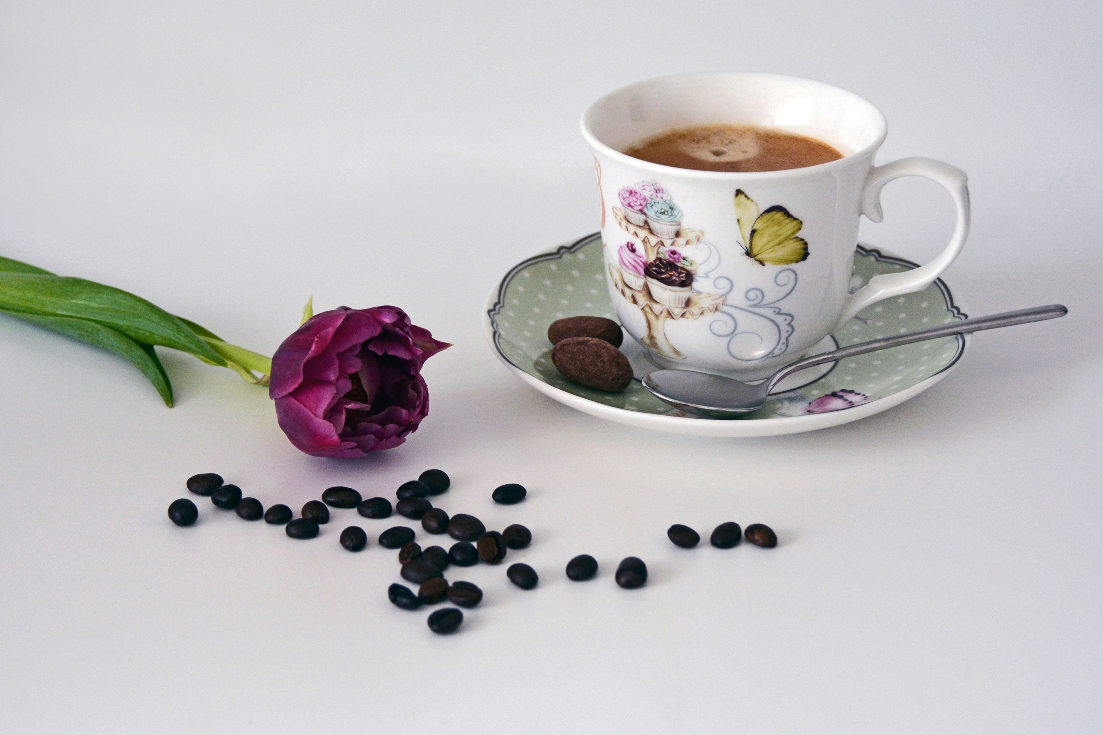 food and drink, white background, mug, spring, petaled, white, no people, tulip, good morning, close-up, saucer, food, coffee mug, flowering plant, coffee beans, HD Wallpaper