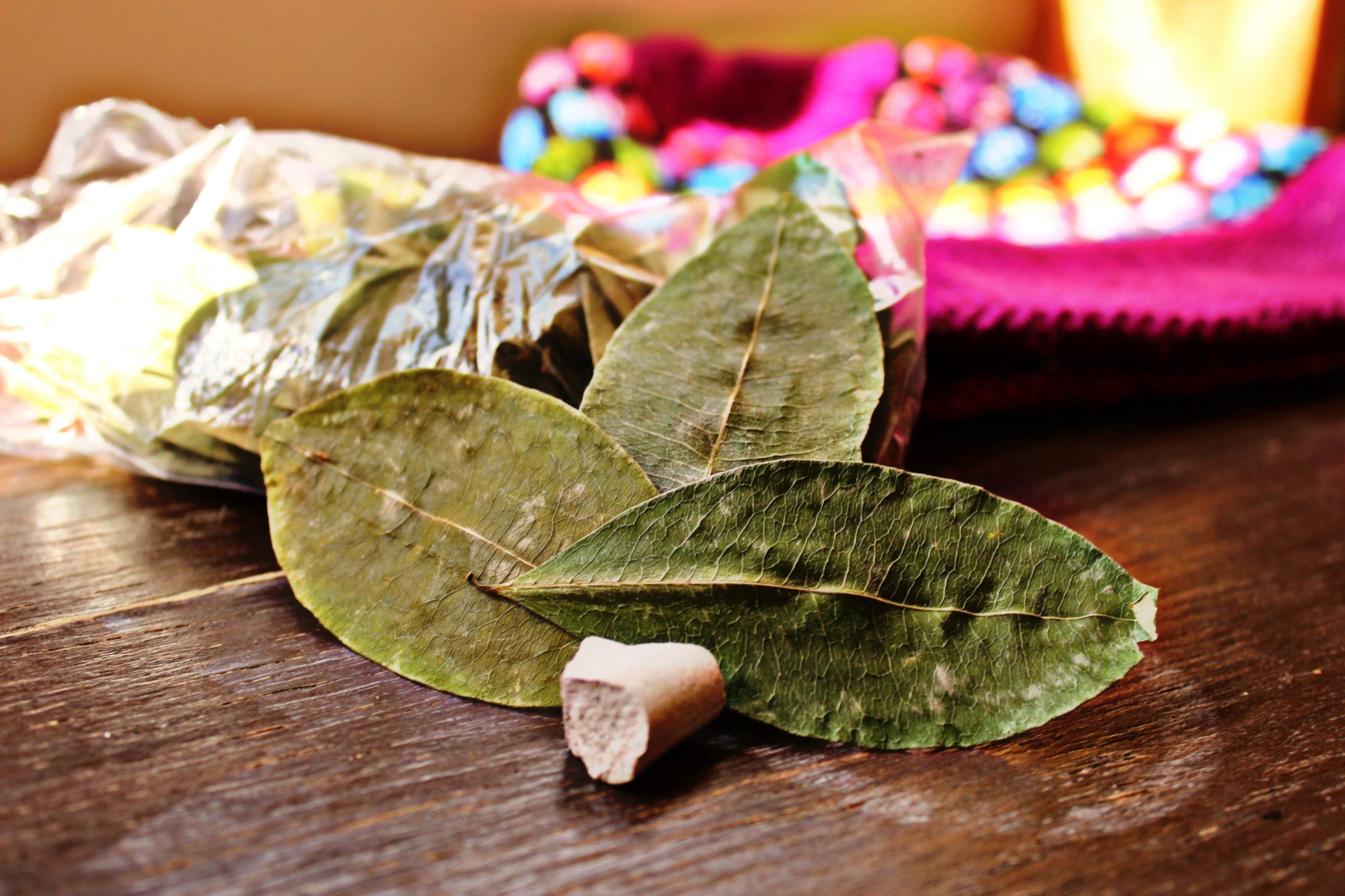 food and drink, indoors, leaves, table, close-up, no people, leaf, dry, plant part, still life, nature, altitude sickness, arequipa, green color, andes, HD Wallpaper