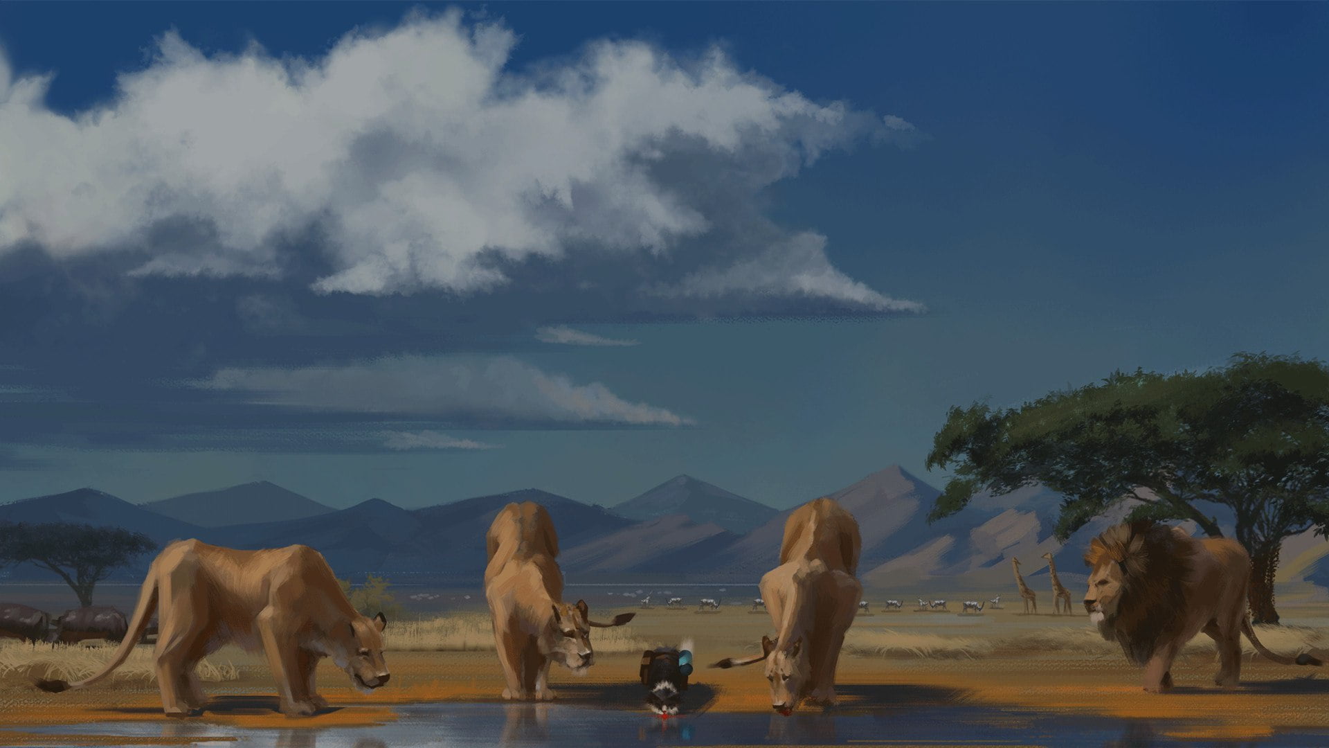 Andrew Biological, 1080P, cat, lions, Savannah, drink, artist, cats journey, lake, HD Wallpaper
