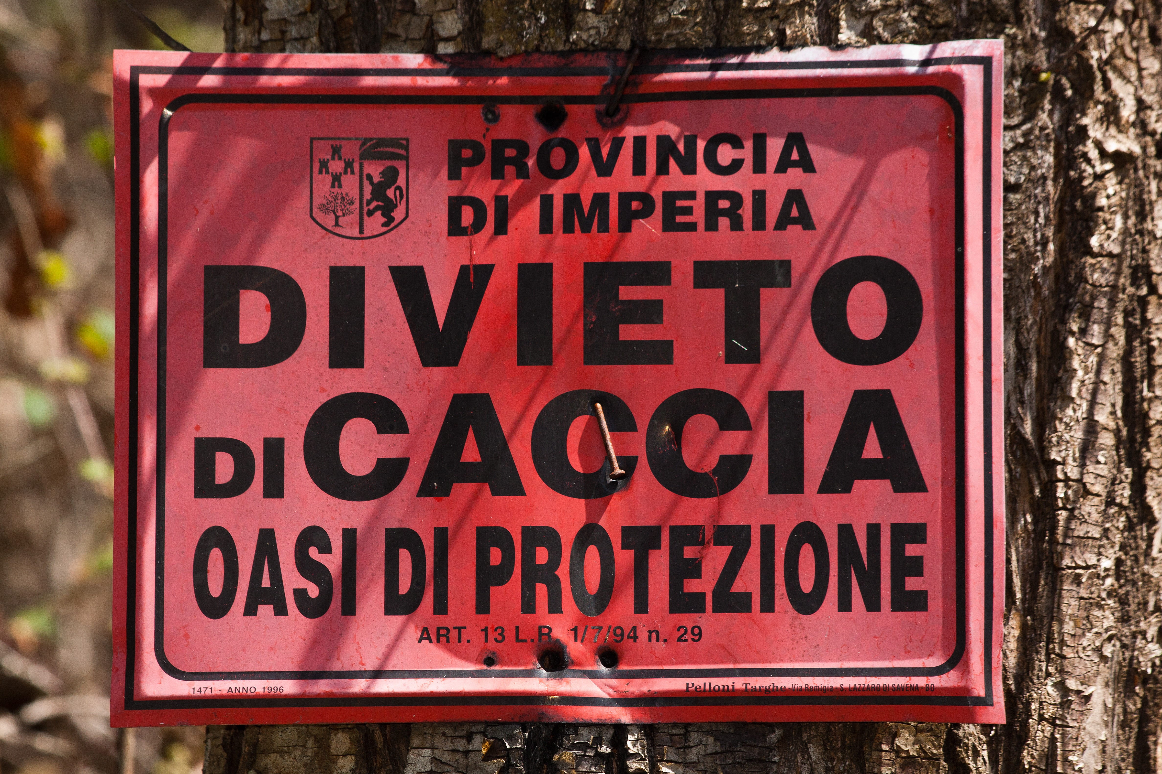 focus on foreground, italy, no people, text, consumerism, outdoors, day, shield, red, wood - material, sign, western script, nature, forest, biological recovery, HD Wallpaper