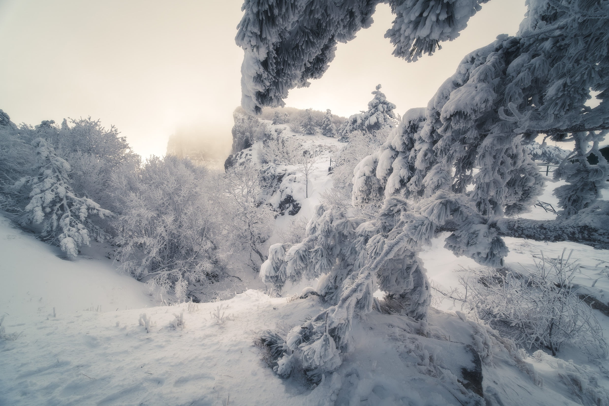 Crimea, snow, 1080P, AI-Petri, Nature, trees, HD Wallpaper