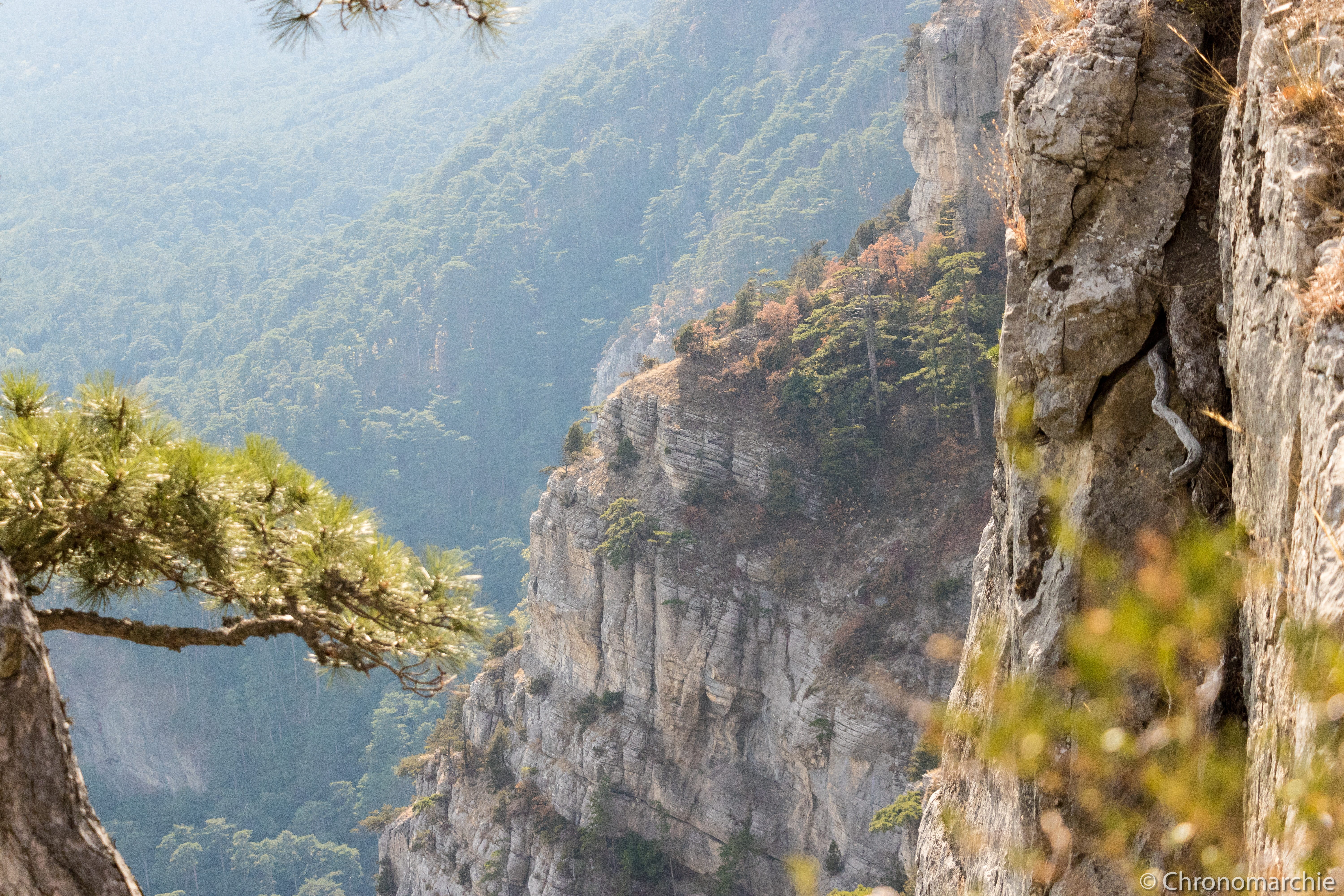 solid, high angle view, tranquility, rock, idyllic, nature, mountain range, coniferous tree, lone peak, beauty in nature, non-urban scene, rock formation, HD Wallpaper