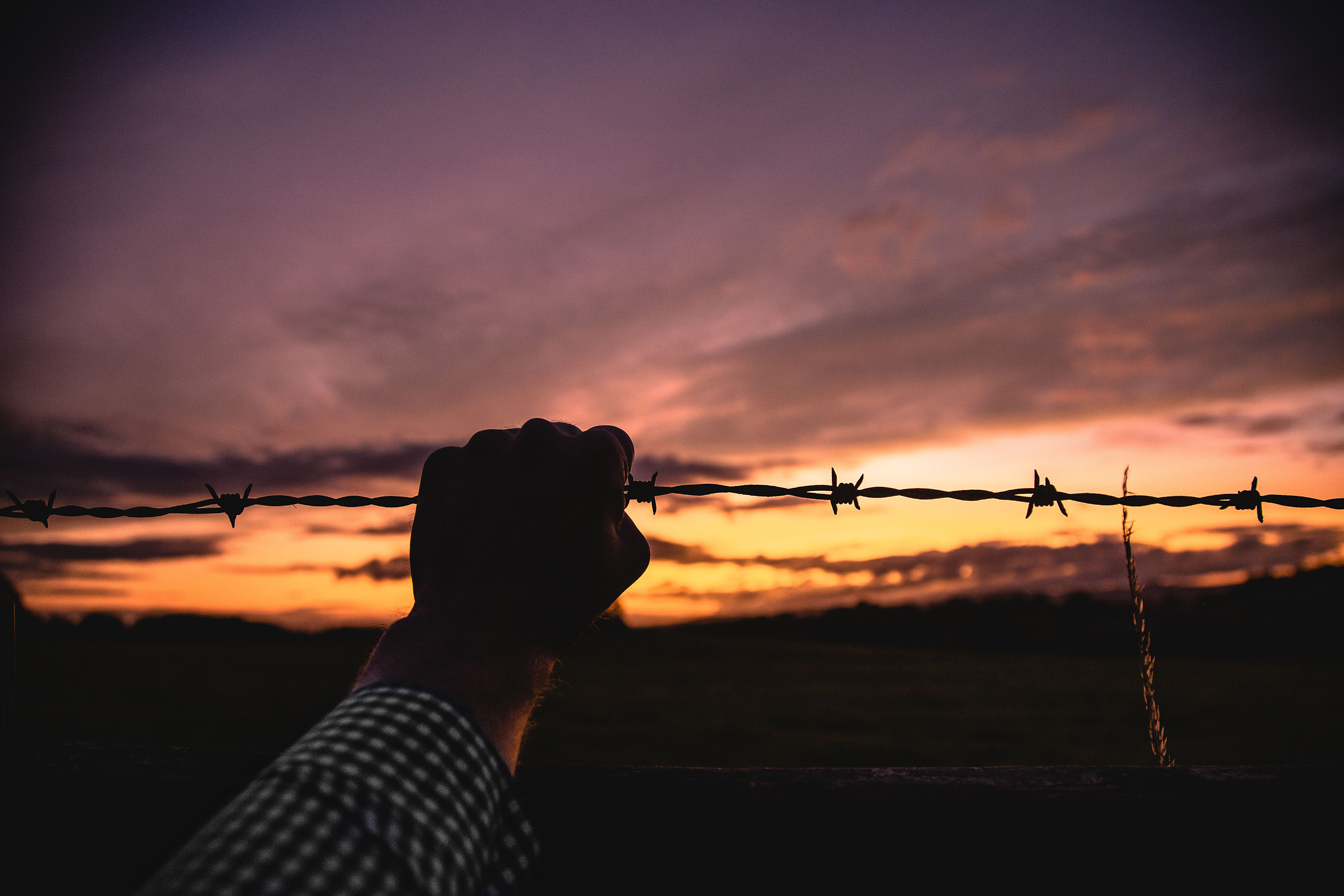 summer, barrier, barbed wire, adult, person, holding, gray, barbwire, 5K, sunset, nature, outdoors, dusk, human hand, one person, boundary, metal, barb, HD Wallpaper