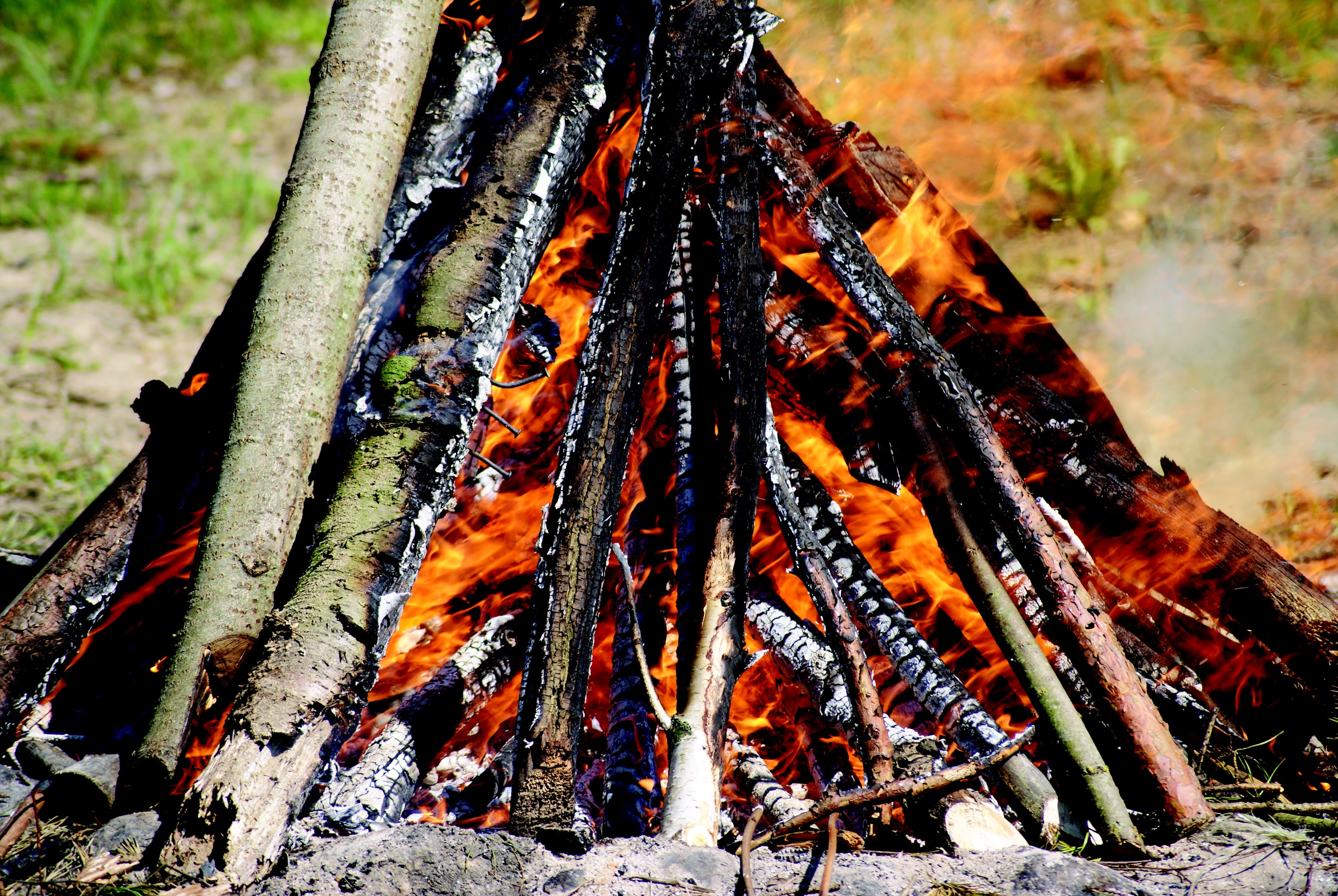 campfire, nature, day, land, log, smoke, plant, heat, wood, outdoors, focus on foreground, hot, bonfire, fire - natural phenomenon, flames, no people, sausages, HD Wallpaper