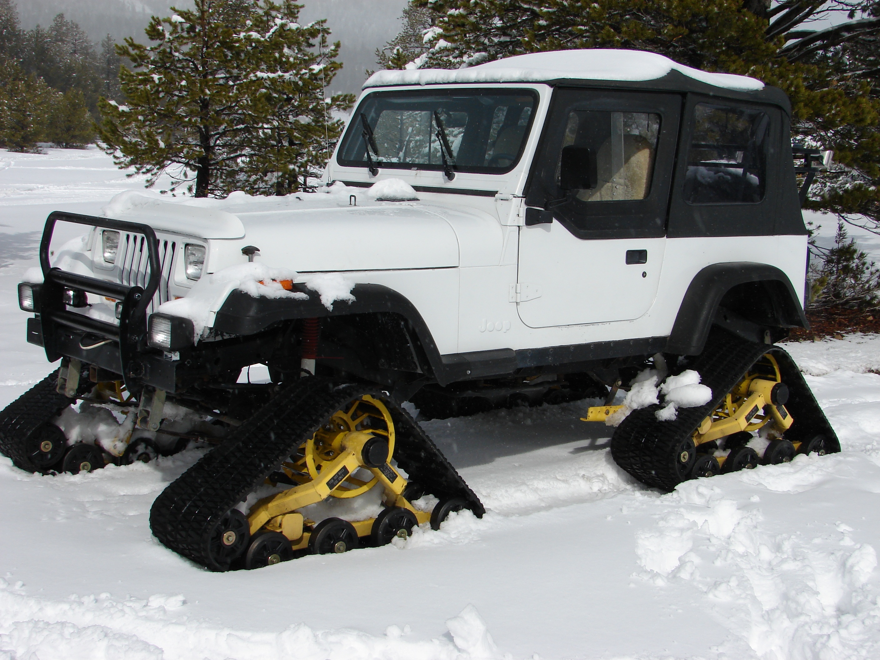 snow cat, side view, land vehicle, winter, outdoors, environment, car, day, snow, plant, snowtracks, 2K, jeep, cold, white, challenge, cold temperature, HD Wallpaper