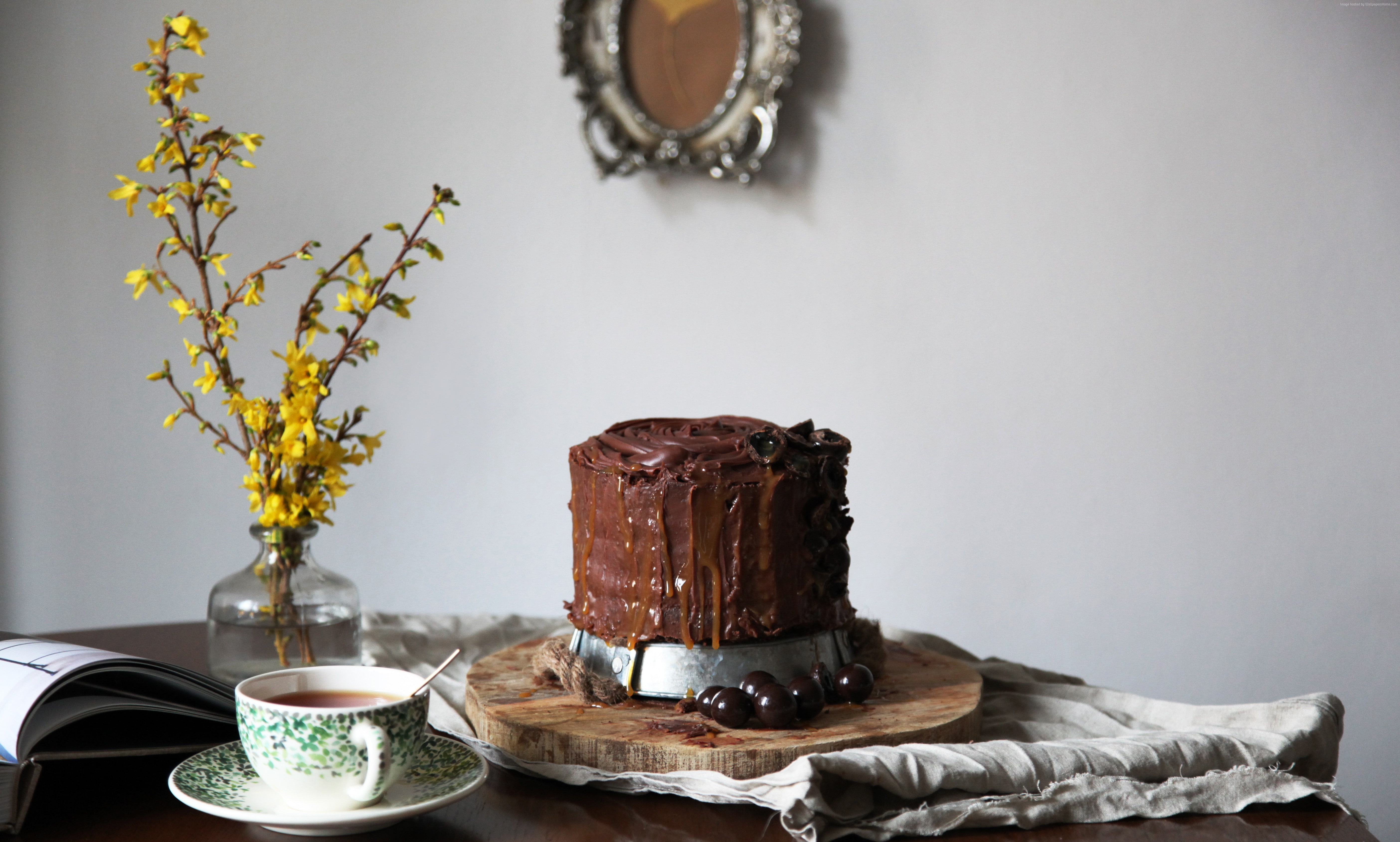 chocolate, raisins, 5K, cherries, cake, HD Wallpaper