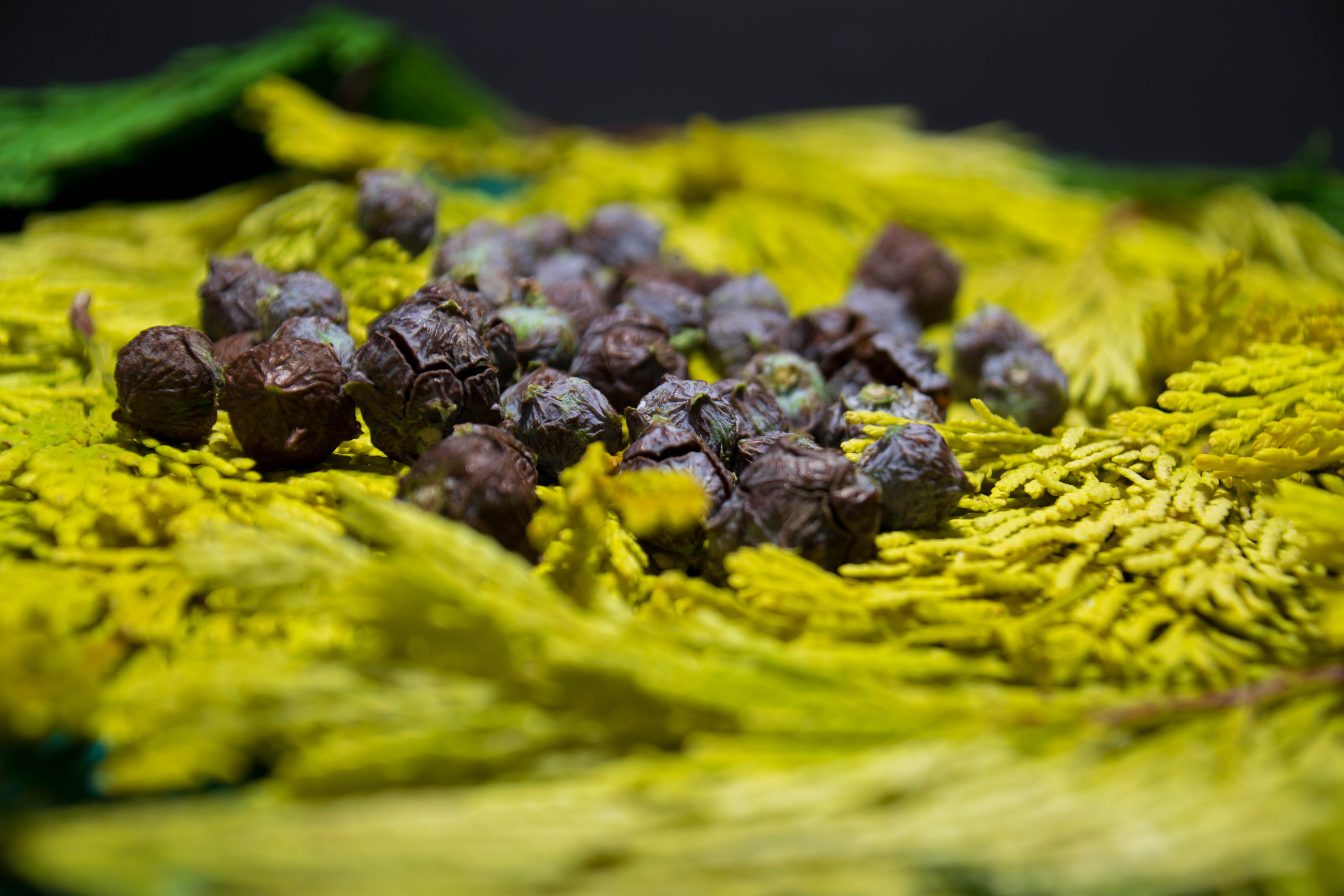 5K, healthy eating, abundance, studio shot, dried food, organic, close-up, ingredient, vegetable, raisin, no people, wellbeing, nature, food, food and drink, HD Wallpaper