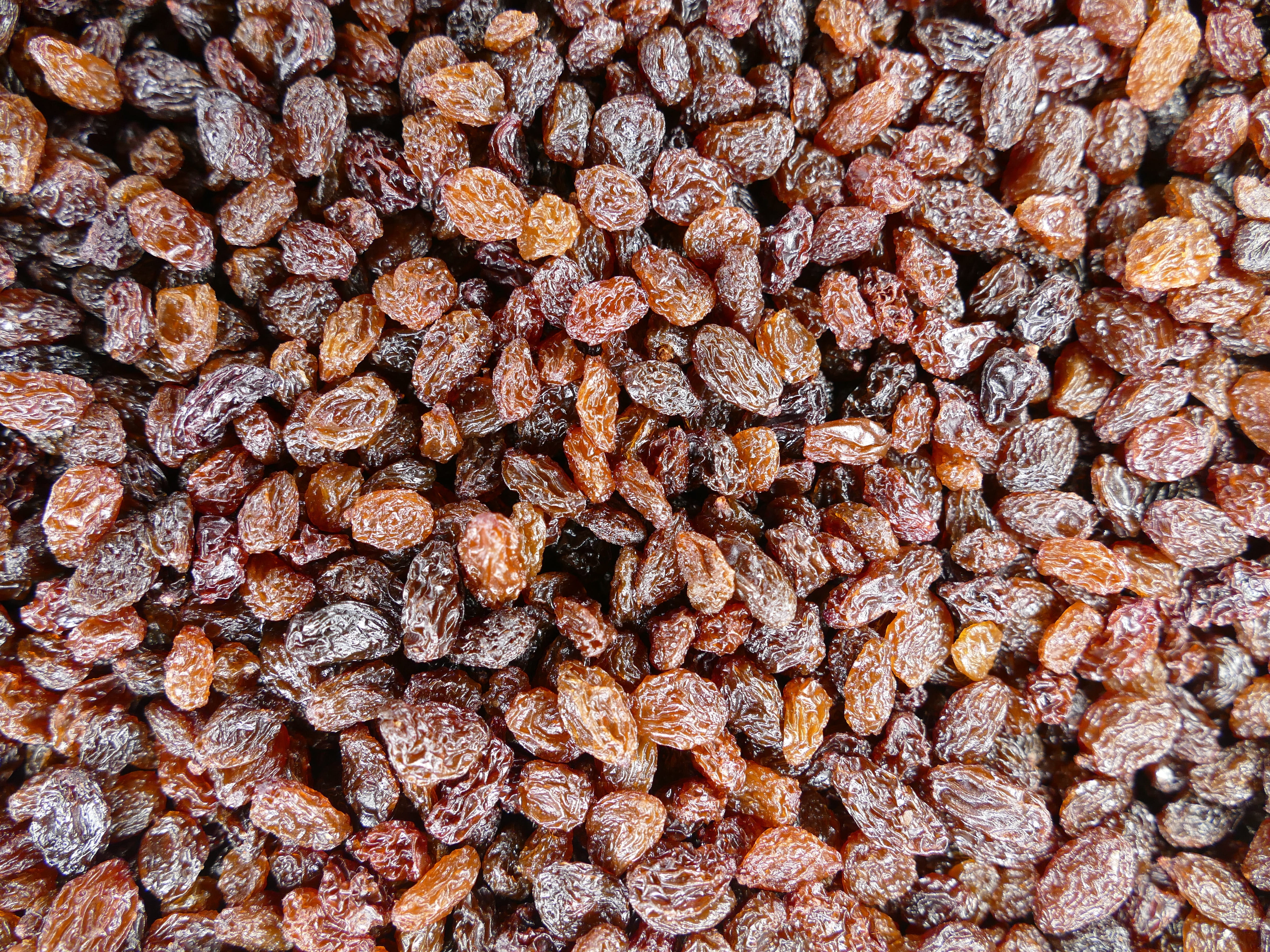 backgrounds, food, dried fruit, wine berries bake, healthy eating, wellbeing, sultanas, indoors, full frame, heap, snack, still life, raisin, close-up, HD Wallpaper