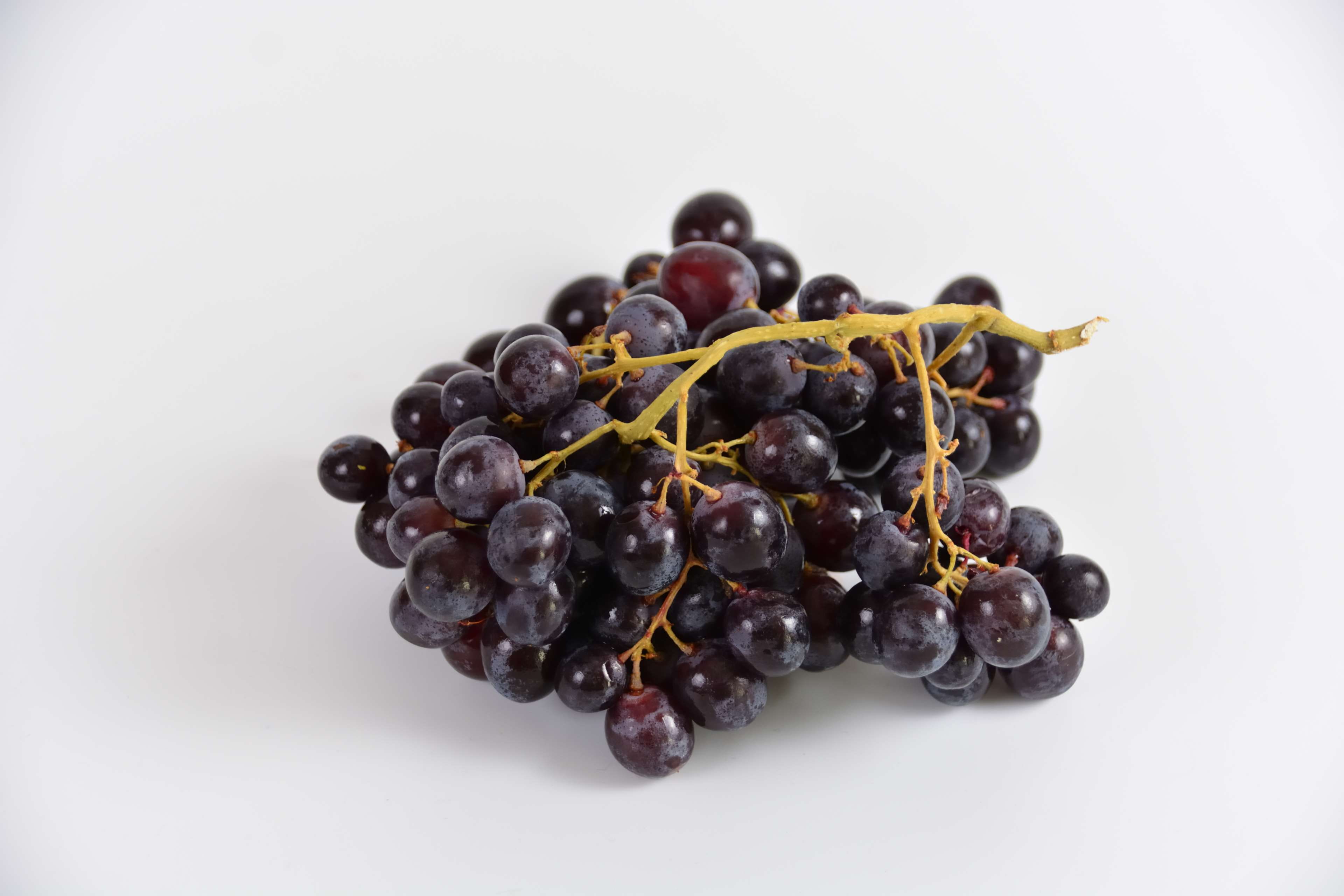 repas, organic, blueberry, fruit, alimentaire, wellbeing, no people, raisins noirs, copy space, alimentation, fruits, close-up, food, ripe, food and drink, HD Wallpaper