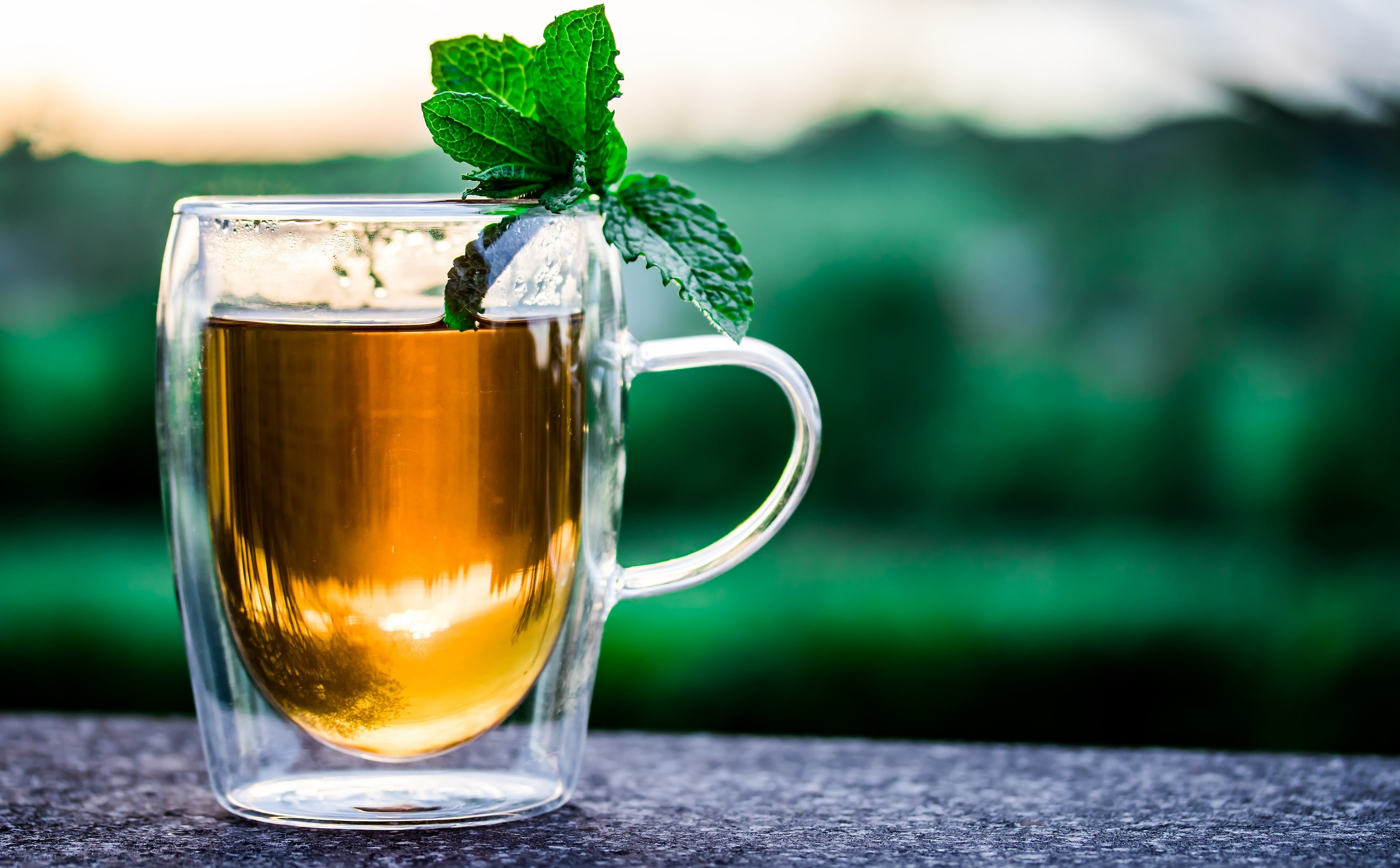 tea, Break, Relaxation, healthy, alcohol, transparent, Green, beer glass, plant part, green color, Food and Drink, teacup, no people, beneficial, glass, HD Wallpaper