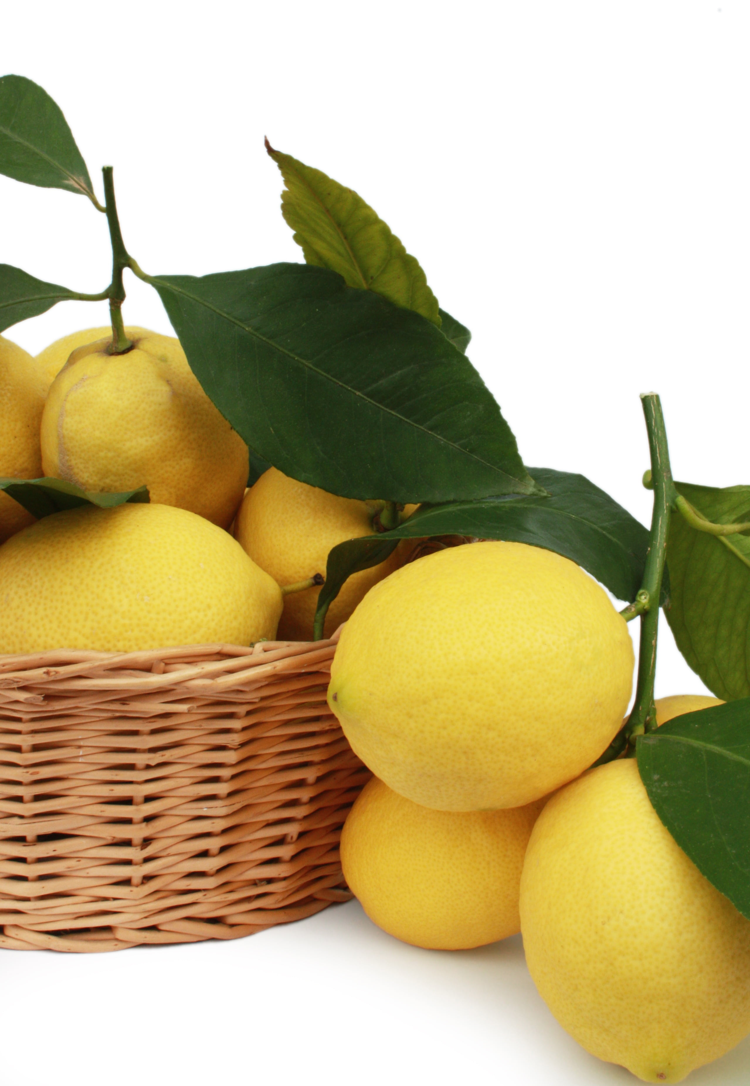 citrus fruits, close-up, studio shot, basket, leaf, juice, citrus fruit, indoors, 2K, food and drink, healthy eating, beneficial, foods, lemons, freshness, Phone HD Wallpaper