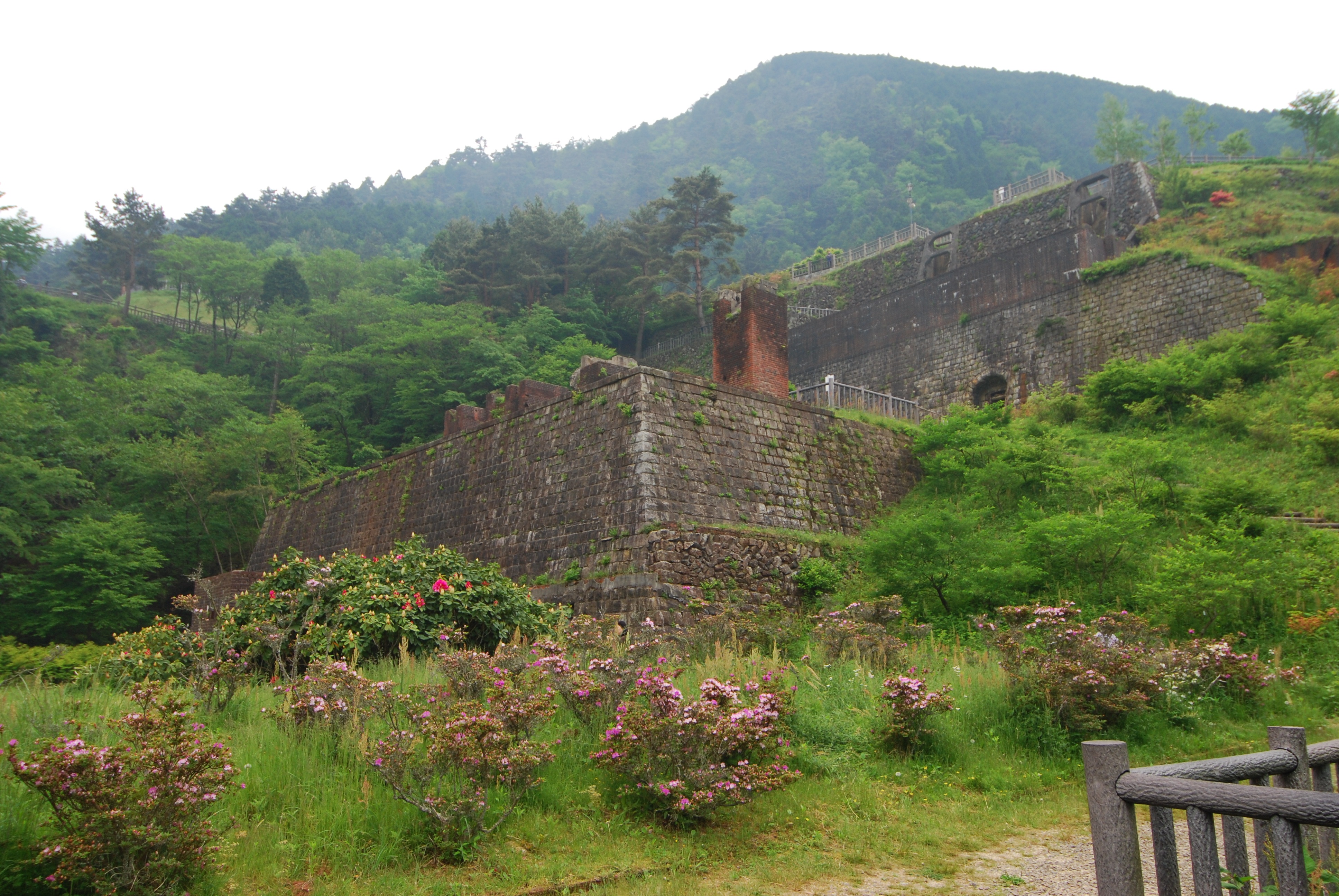 old, child copper mine, growth, land, wall, japan, stockpile vault mark, stone masonry, plant, stateliness, travel destinations, history, outdoors, historic sites, HD Wallpaper