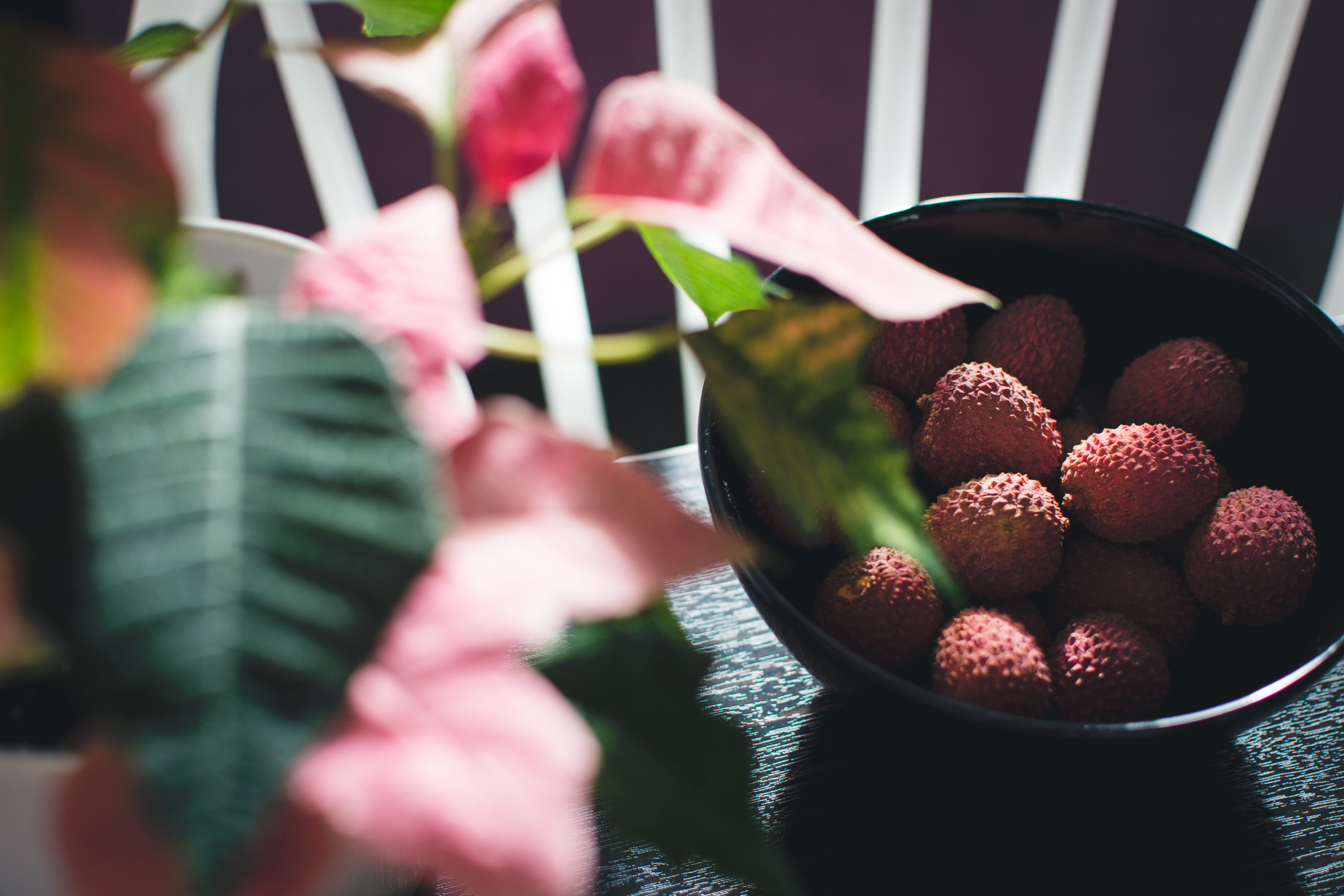 day, selective focus, fruit, wellbeing, plant, freshness, berry fruit, holding, food, healthy eating, human hand, 5K, ripe, strawberry, food and drink, HD Wallpaper