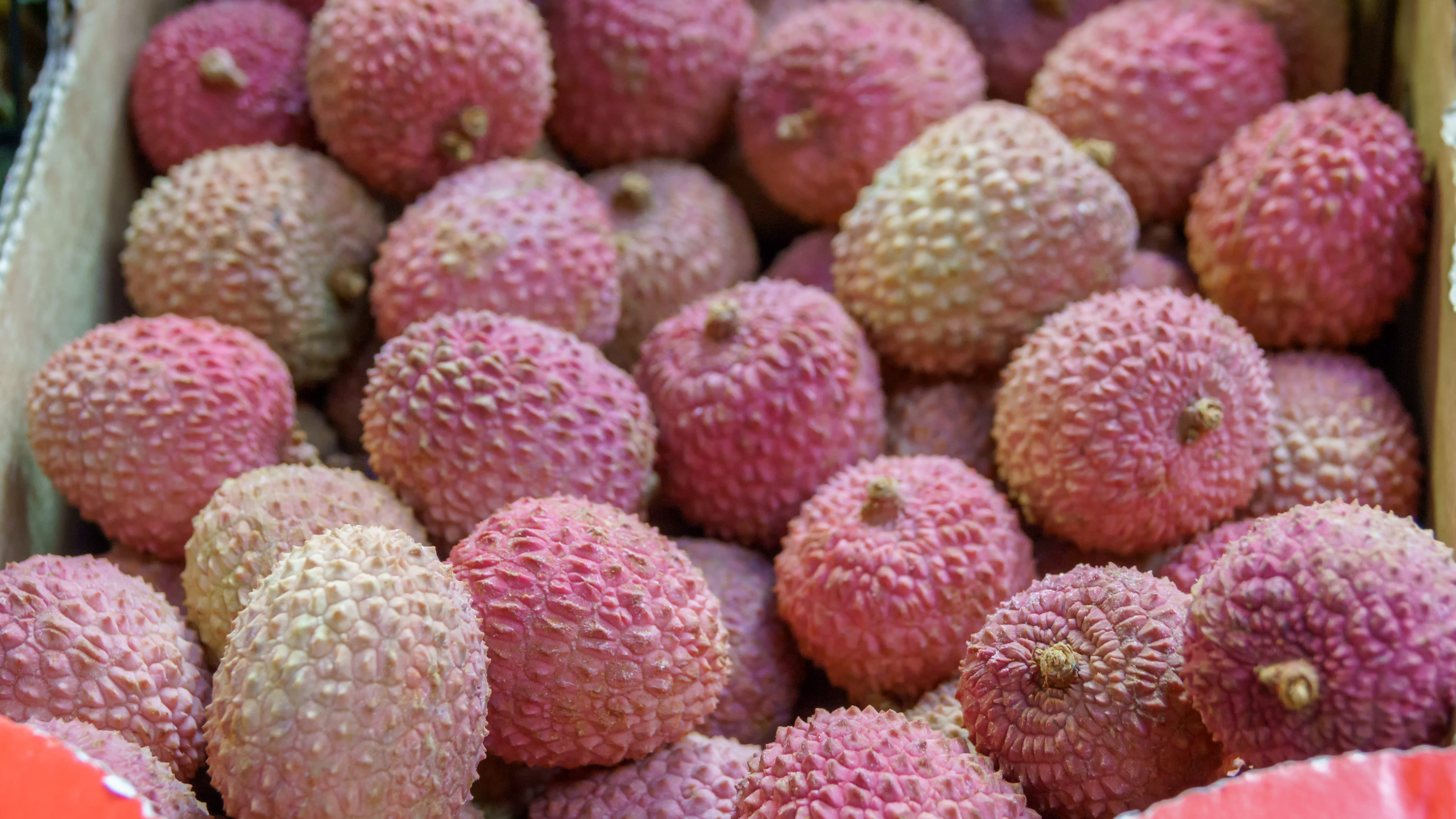 arrangement, freshness, close-up, no people, red, large group of objects, food, fresh, sweet, backgrounds, exotic, market, pink color, litchi, tropical, HD Wallpaper