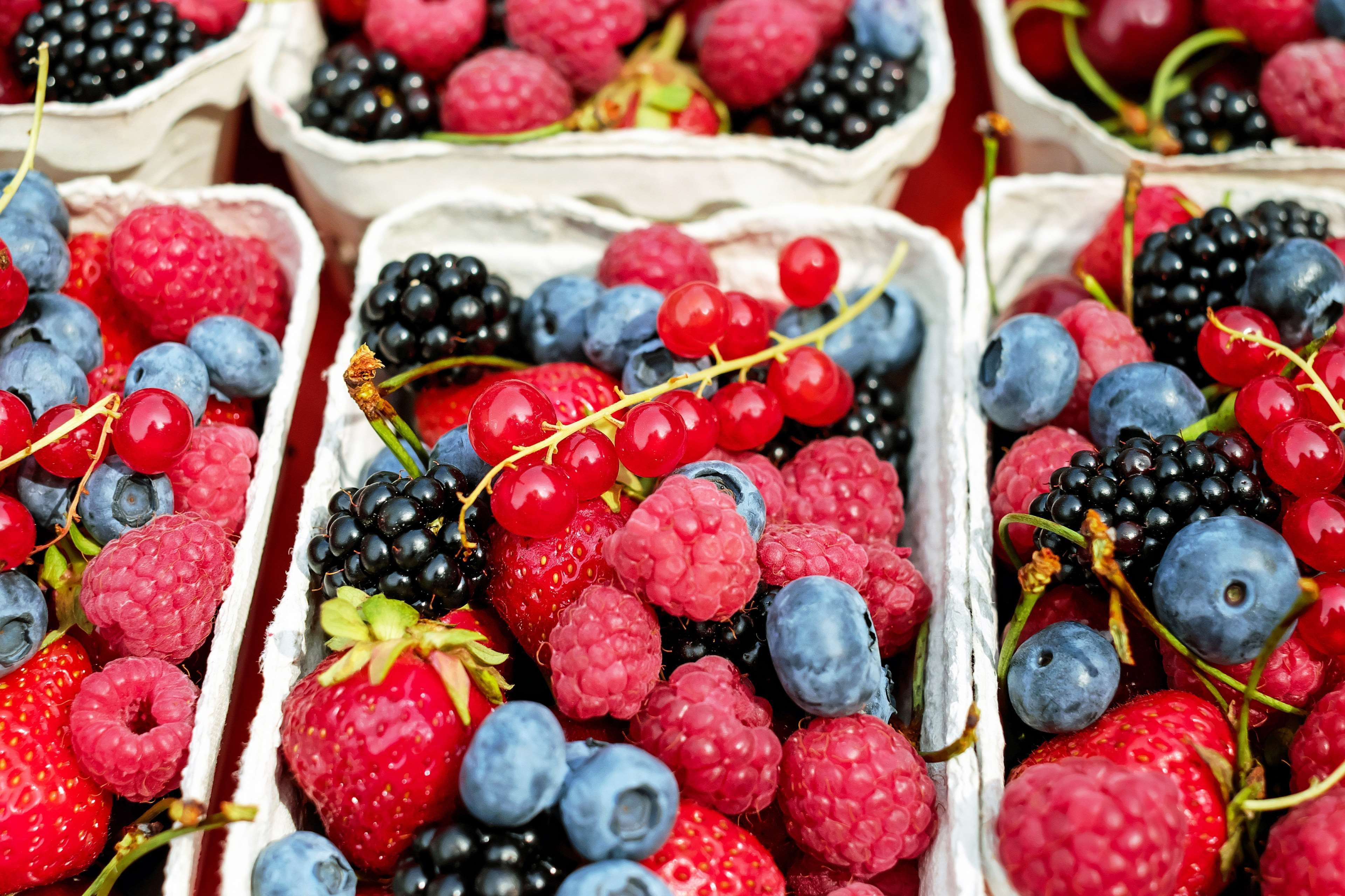 raspberry, fruit, blueberry, retail display, no people, food and drink, mixed, abundance, fruits, berry fruit, red currant, freshness, large group of objects, HD Wallpaper