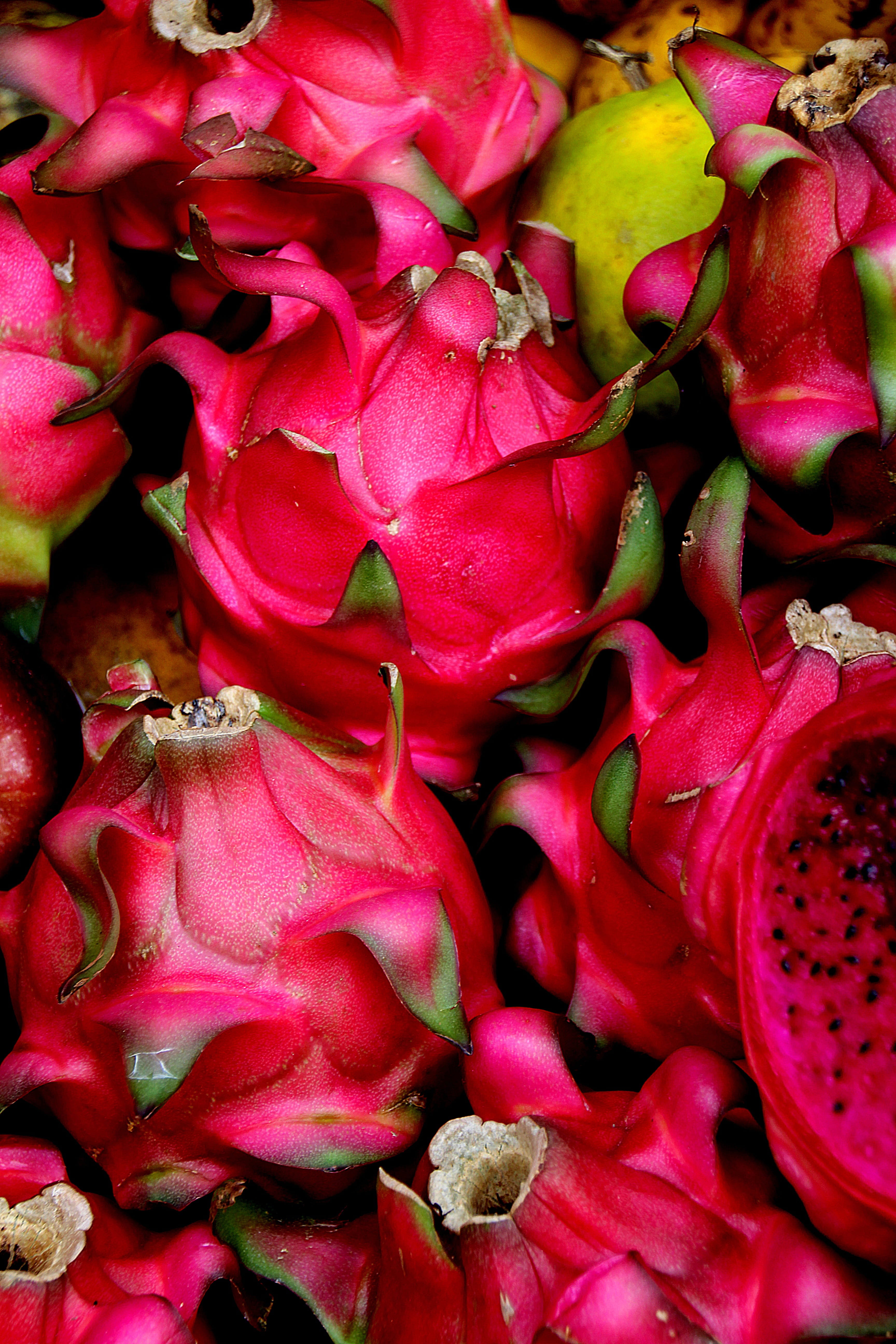 market, for sale, vegetable, full frame, food and drink, food, large group of objects, freshness, dragonfruit, 5K, exotic fruits, flower head, still life, Phone HD Wallpaper