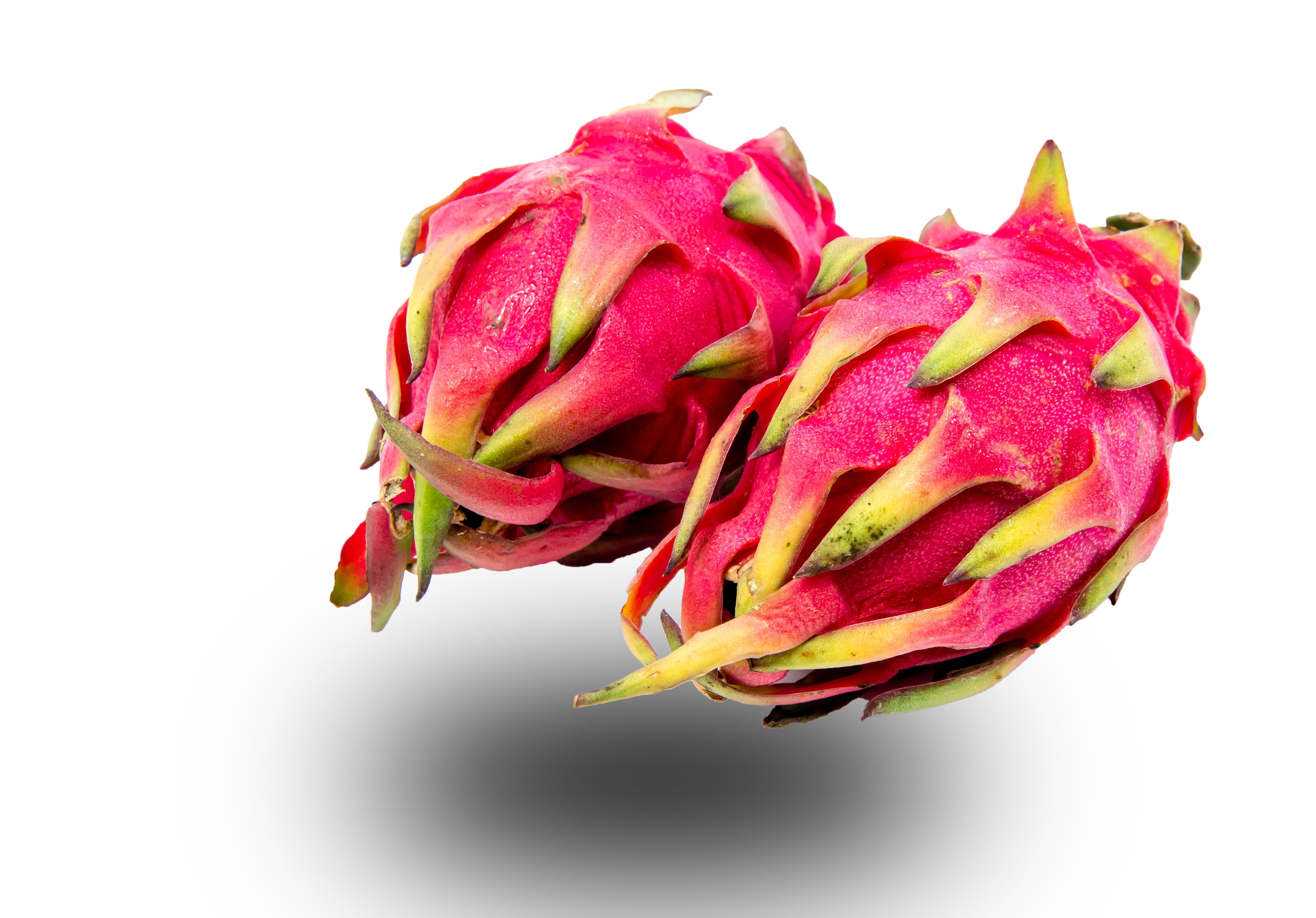 Health, Dragon, still life, Glass, isolated, flower, pitaya, salad cocktail, white, white Background, nature, close-up, fresh, wellbeing, red, background, HD Wallpaper