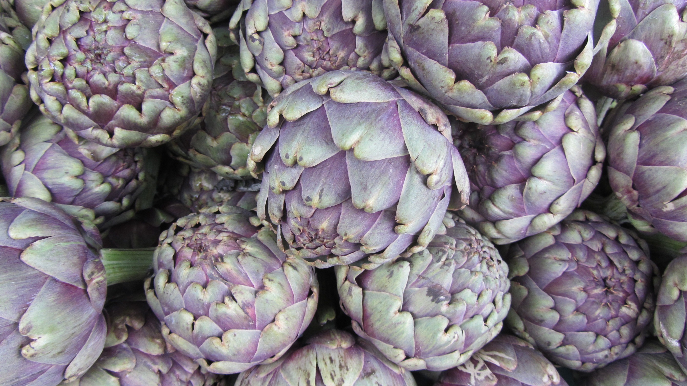 dragonfruits, garden, vegetables, healthy, food, farmers local market, vegetable market, artichokes, healthy Eating, day, food and drink, close-up, consumerism, HD Wallpaper