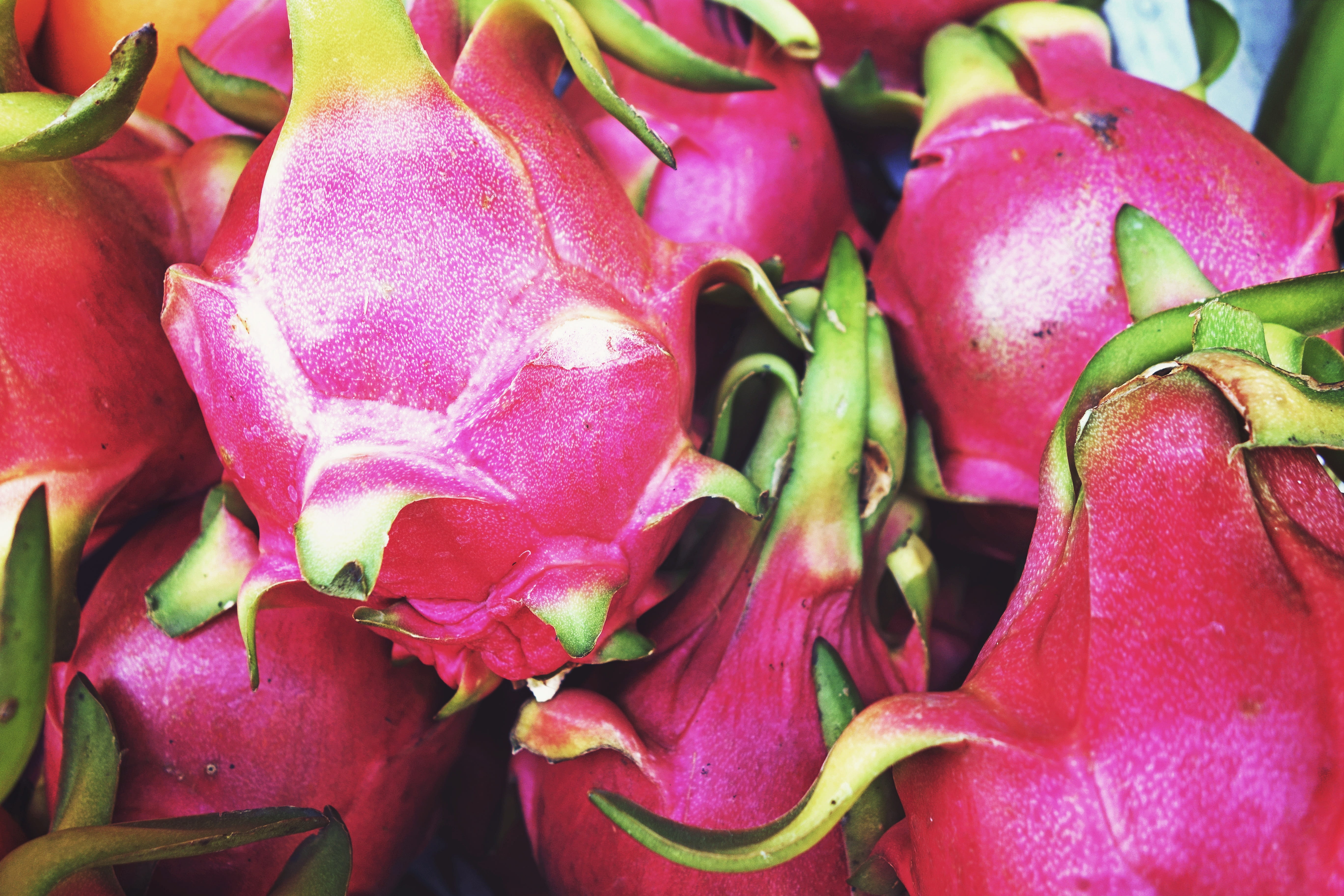 day, food, sweet, backgrounds, pink color, dragon fruit, diet, ripe, pink, still life, growth, 5K, market, freshness, tropical, fresh, red, tasty, close-up, HD Wallpaper