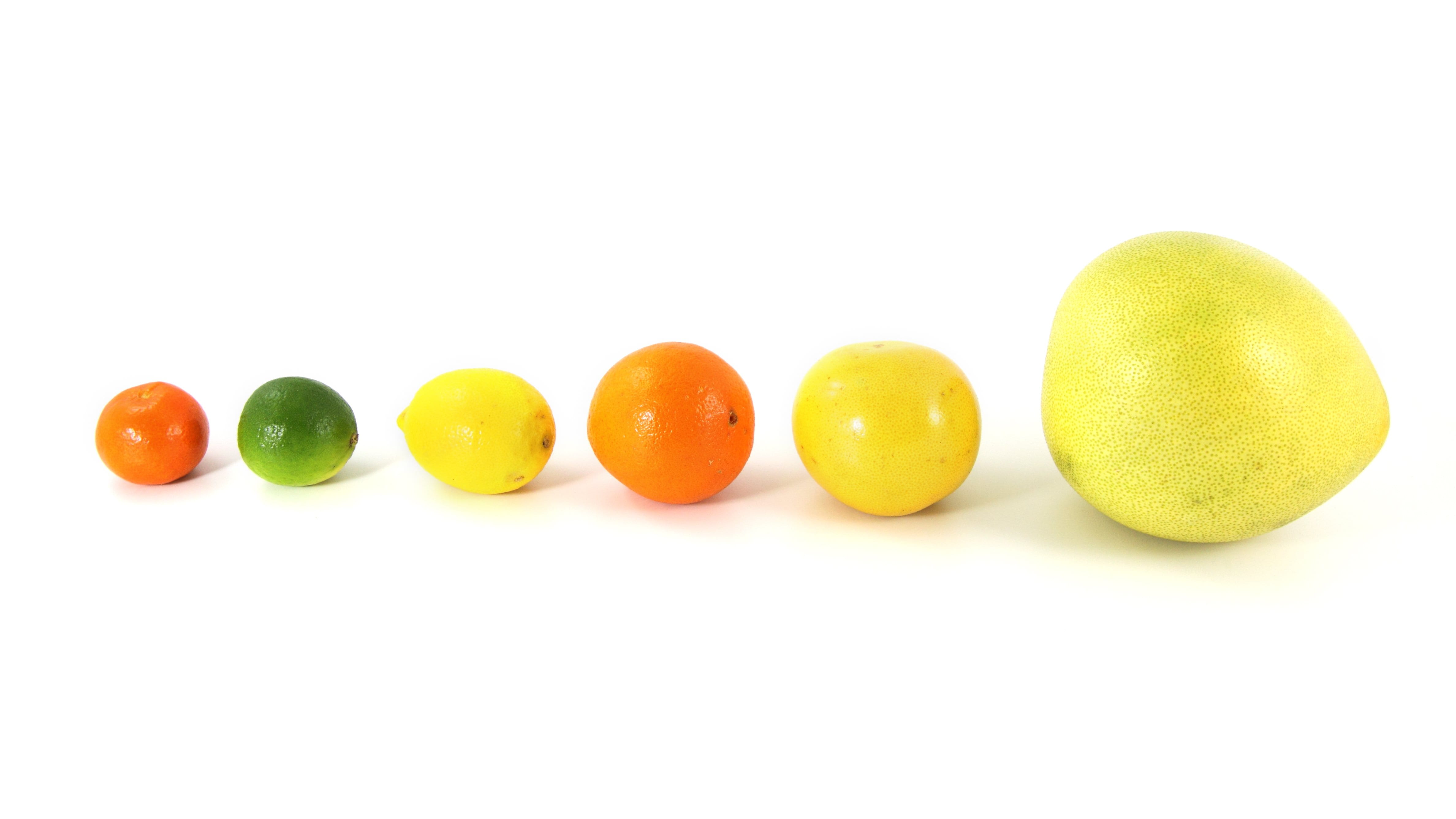 wellbeing, balance, food and drink, 4K, in a row, copy space, studio shot, freshness, pomelo, yellow, fruits, citrus, food, healthy eating, white, group, HD Wallpaper
