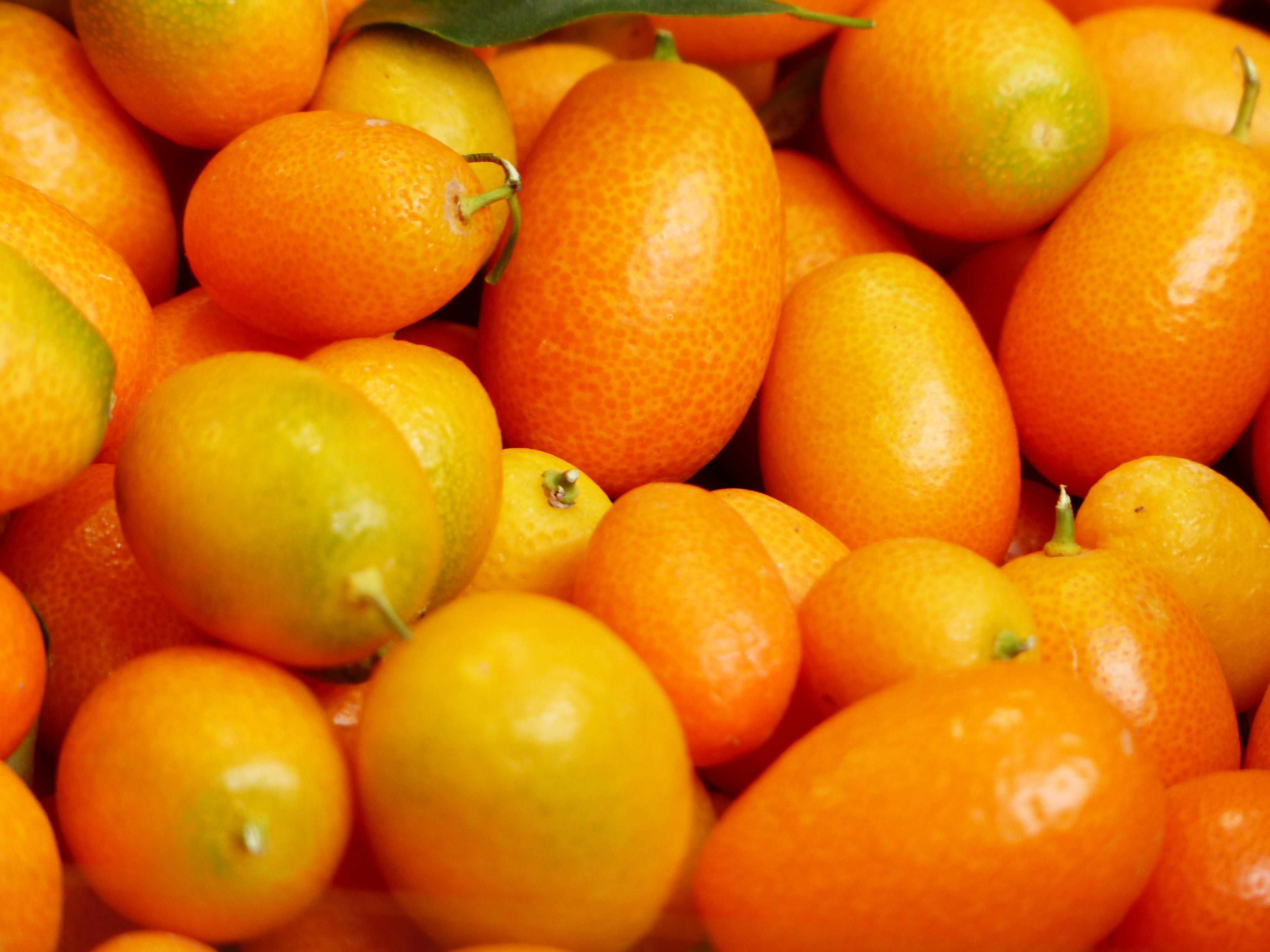 choice, large group of objects, fruits, heap, citrus fruit, ripe, 4K, fortunella, wellbeing, close-up, food and drink, antioxidant, full frame, dwarf rind, HD Wallpaper