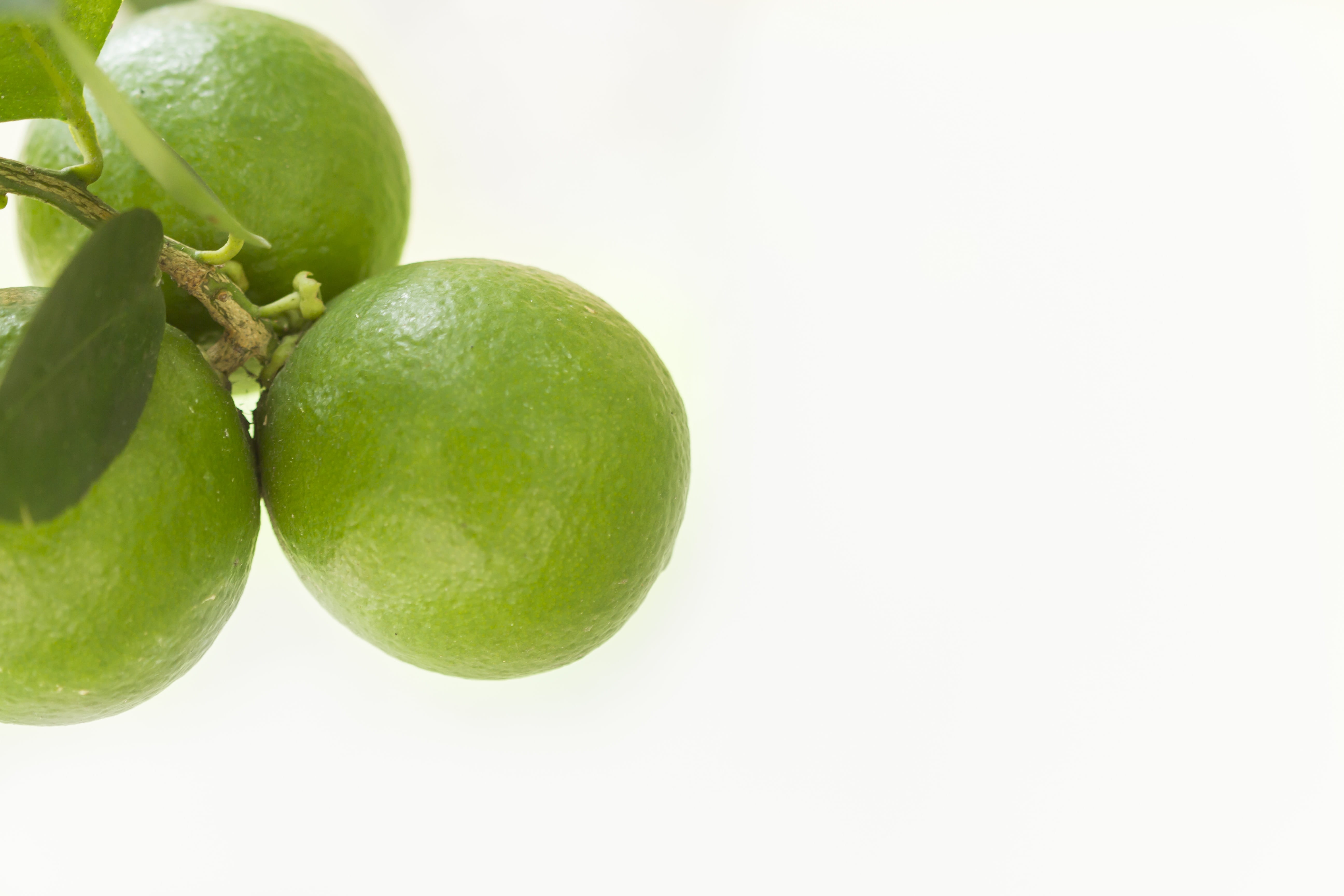 cut out, group, blur, healthy, fruit, single object, healthy eating, close-up, vegetarian food, indoors, juice, ripe, freshness, 5K, vitamin c, wellbeing, HD Wallpaper