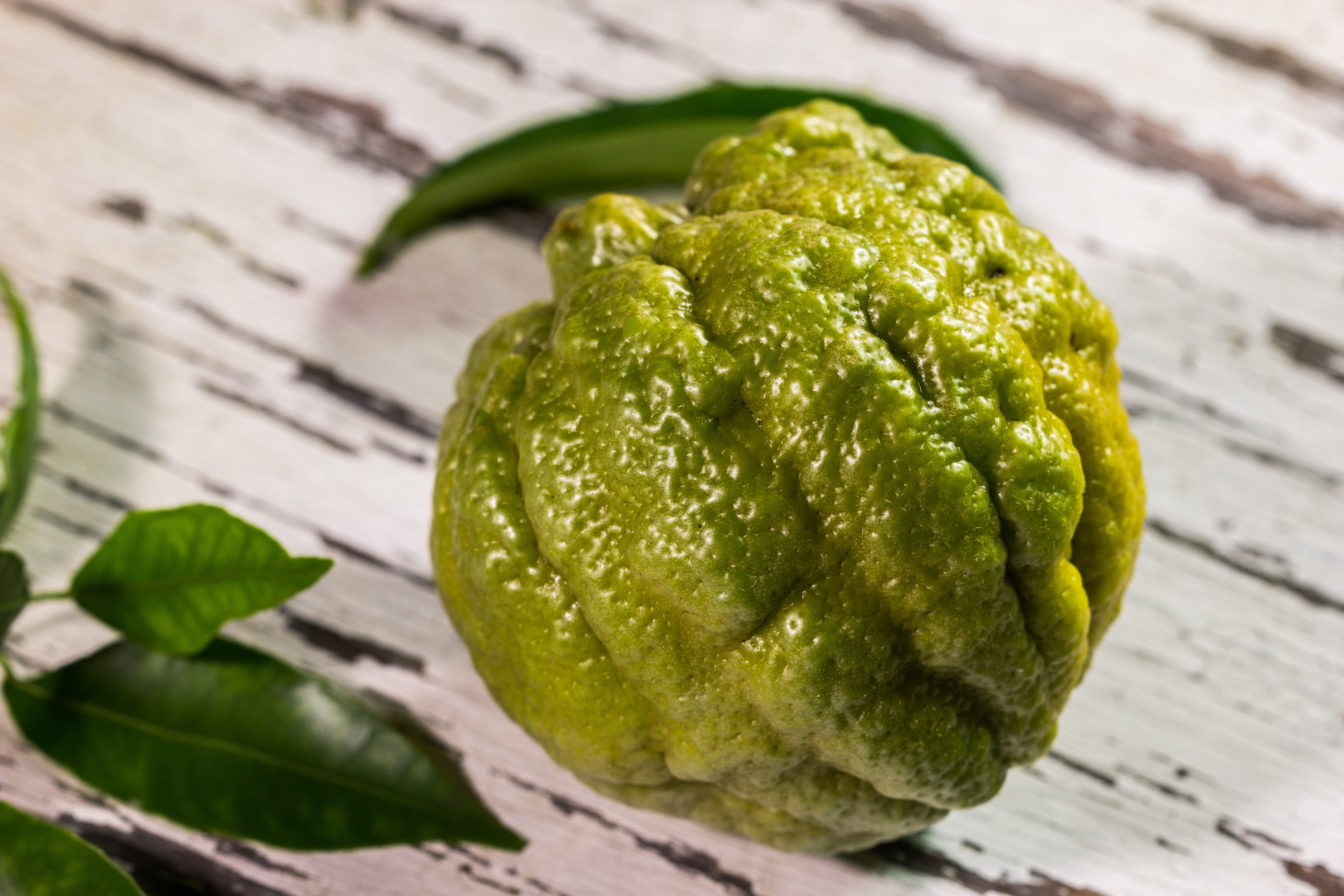 leaf, wood - material, green, diet, japanese food, no people, juice, freshness, healthy, focus on foreground, lemon, plant part, grow up, juicy, food and drink, HD Wallpaper
