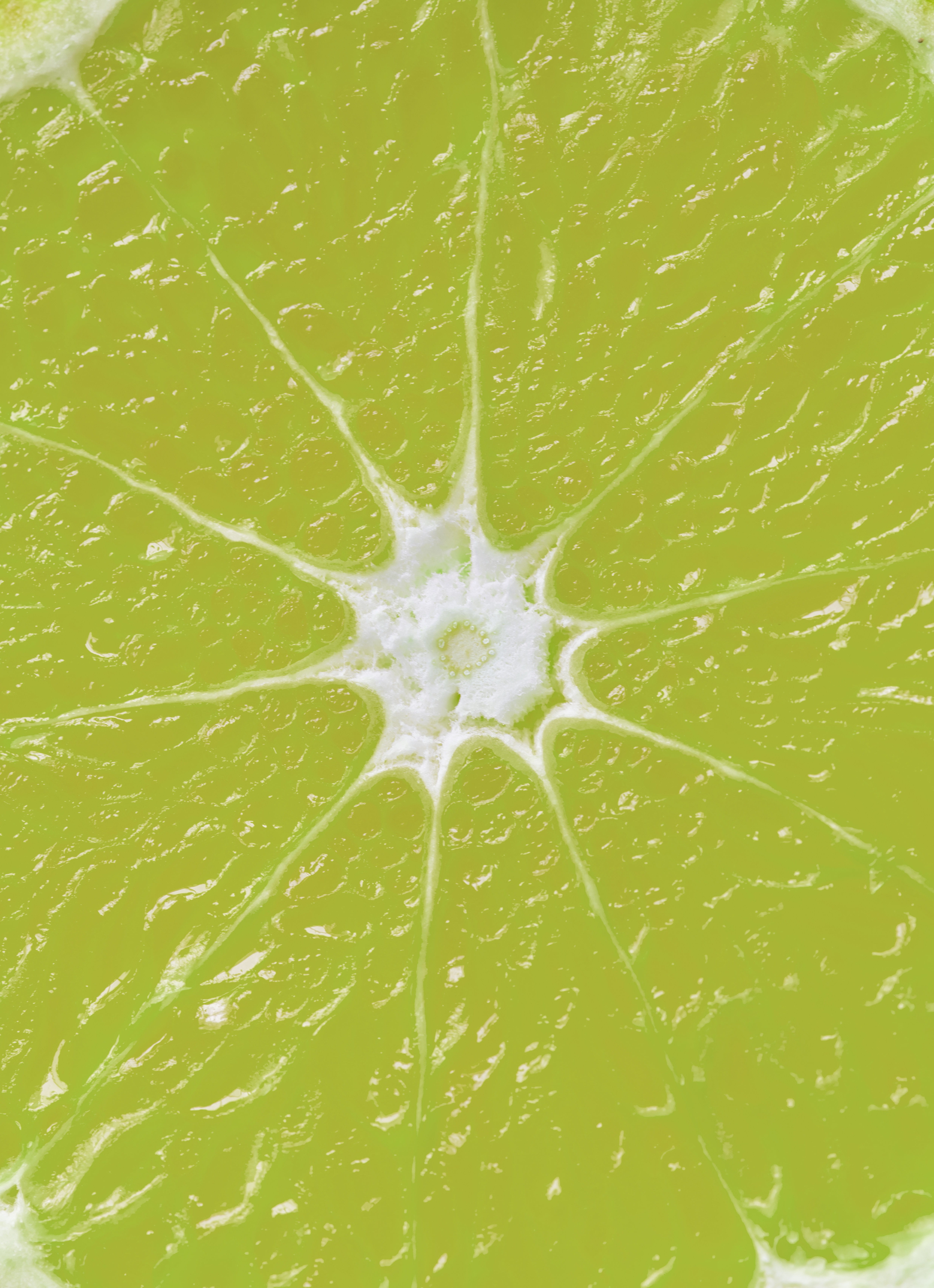 textured, healthy eating, food and drink, fresh fruit, lime, cool, fresh, juice, ripe, food, wellbeing, acid, freshness, natural, lemon slice, cooking, Phone HD Wallpaper