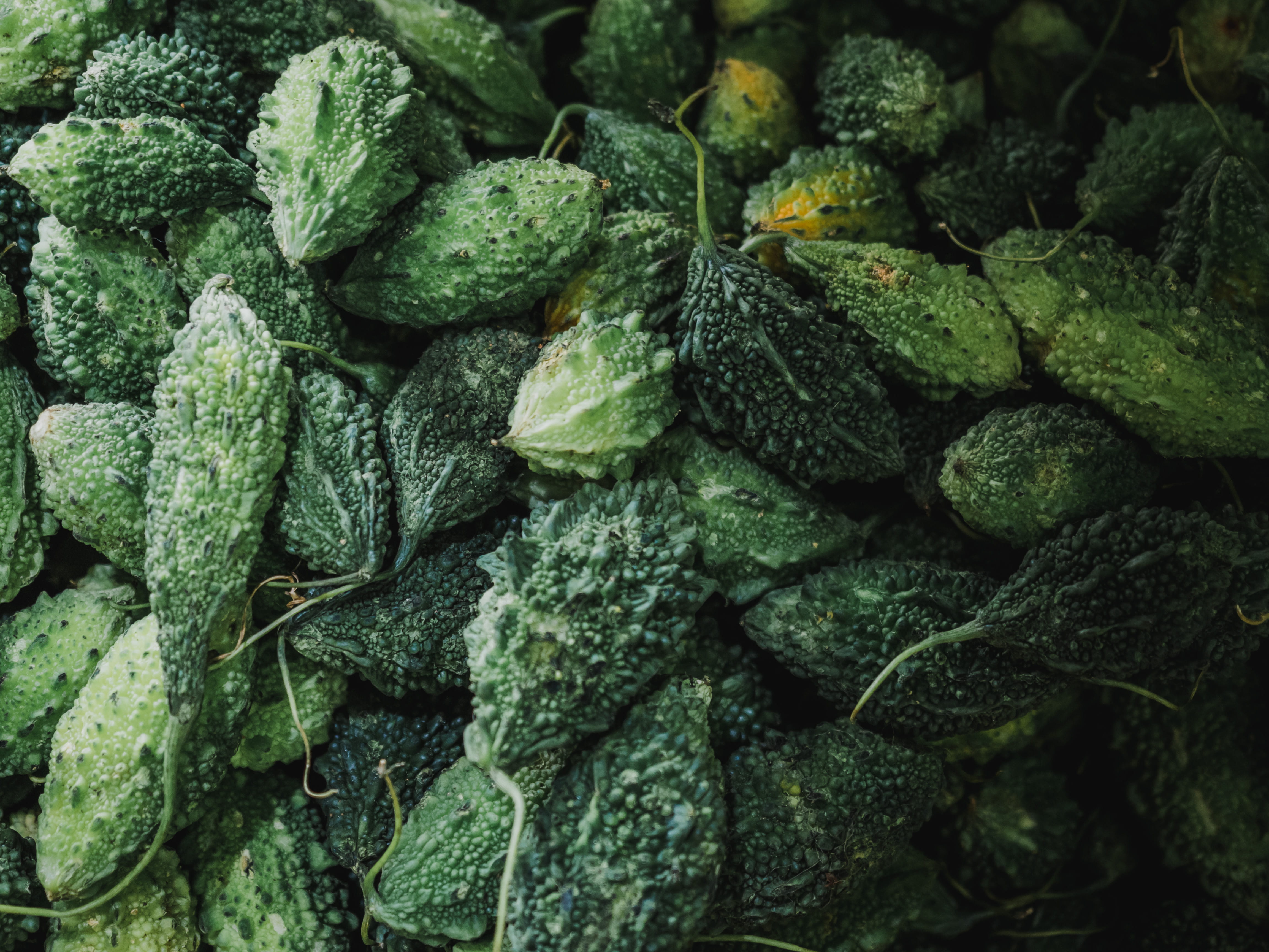 green color, mint leaf - culinary, freshness, gourds, green, food and drink, raw food, vegetarian food, pumpkins, backgrounds, bittermelon, wellbeing, abundance, HD Wallpaper