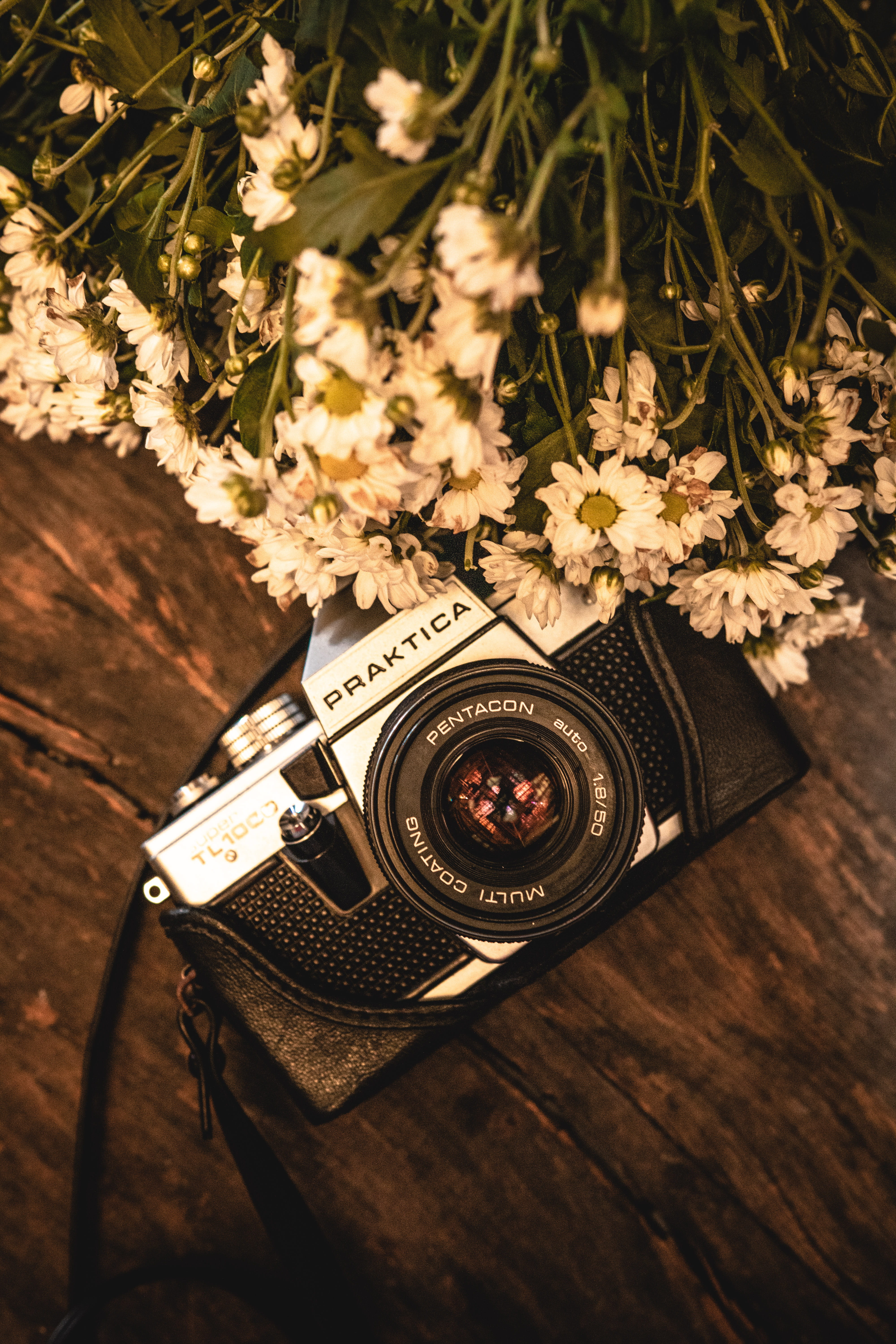 high angle view, flower arrangement, photography, indoors, shutter, vintage, close-up, lens - optical instrument, lens, 5K, vintage camera, camera, flowers, Phone HD Wallpaper