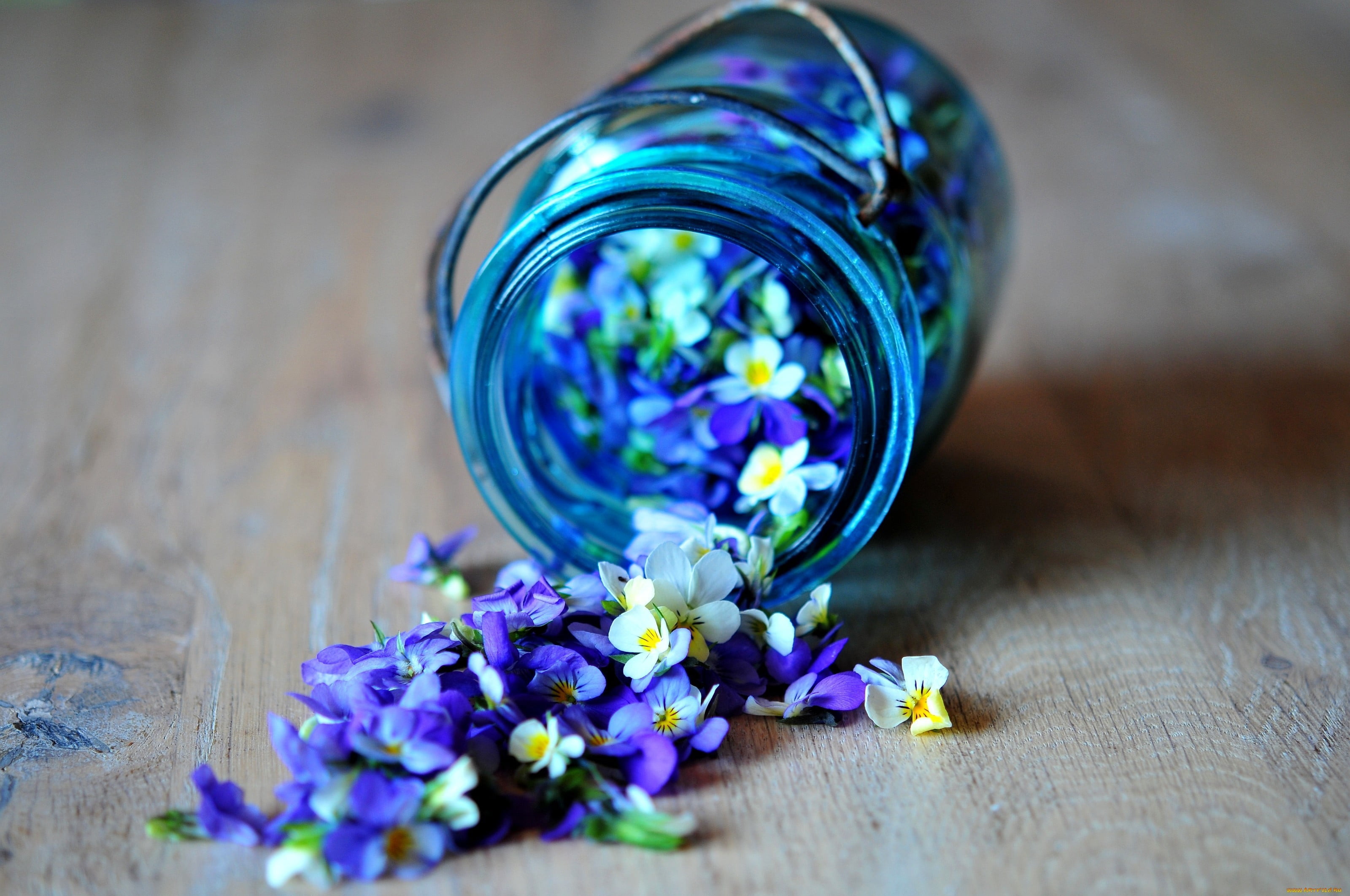 petal, vulnerability, wood - Material, flower, homeopathic Medicine, scented, nature, purple, healthy Lifestyle, flowers, high angle view, bouquet, no people, HD Wallpaper