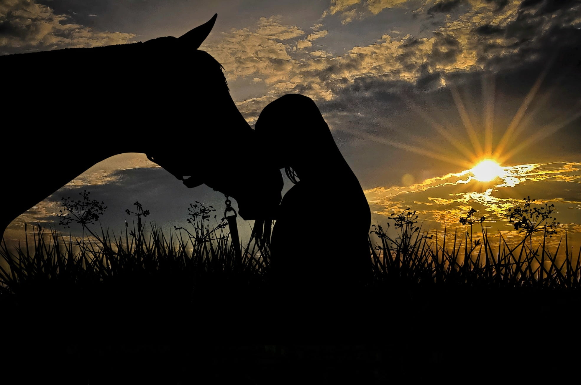 animal, one animal, woman, horse head, outdoors, friendship, lens flare, affection, pasture, horse, one person, sky, romance, composing, gegenlichtaufnahme, HD Wallpaper