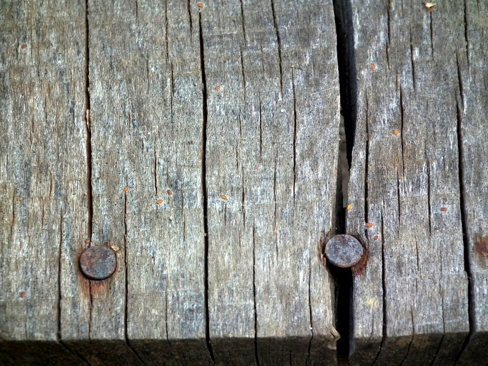 rusty, grey, rough, two, boards, deterioration, background, weathered, old, close-up, metal tool, backgrounds, rust, iron, door, outdoors, run-down, metal, HD Wallpaper